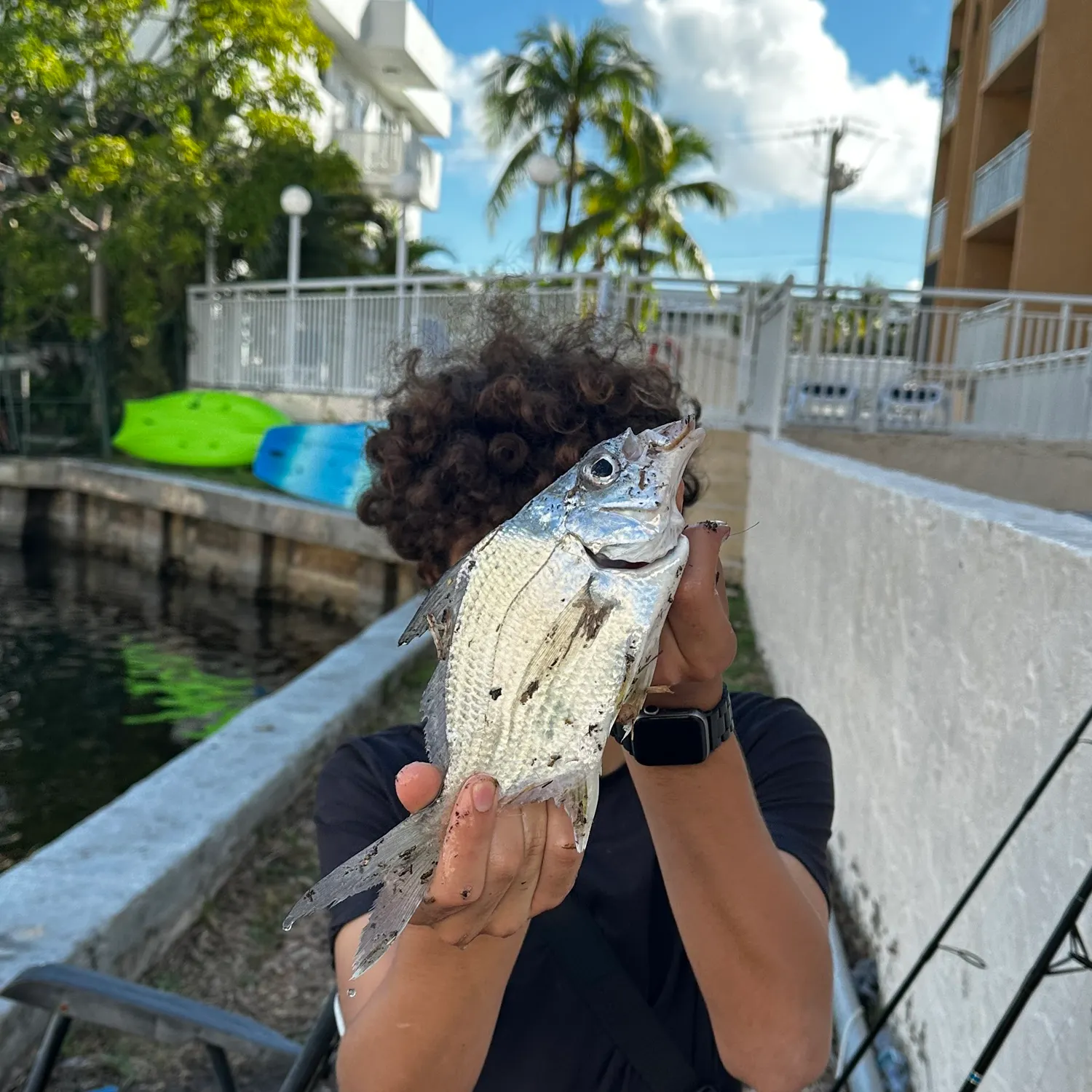 The most recent Irish mojarra catches on Fishbrain