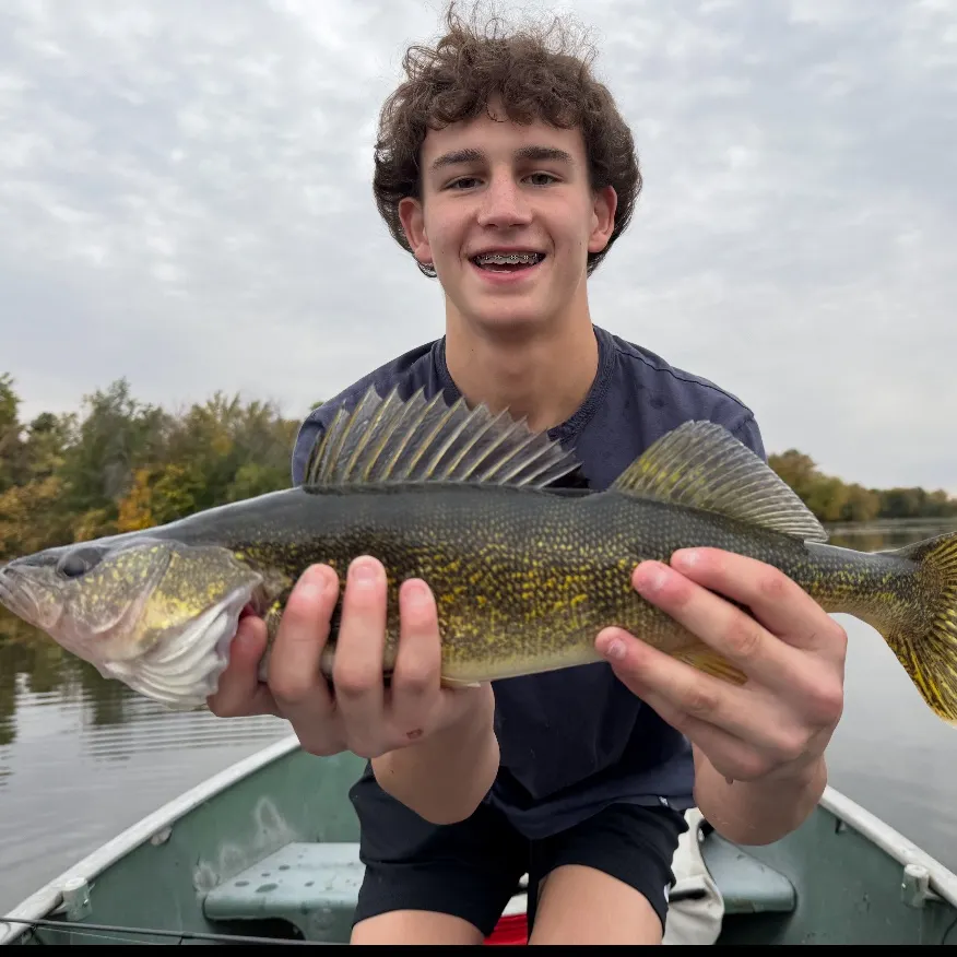Walleye caught on Fishbrain