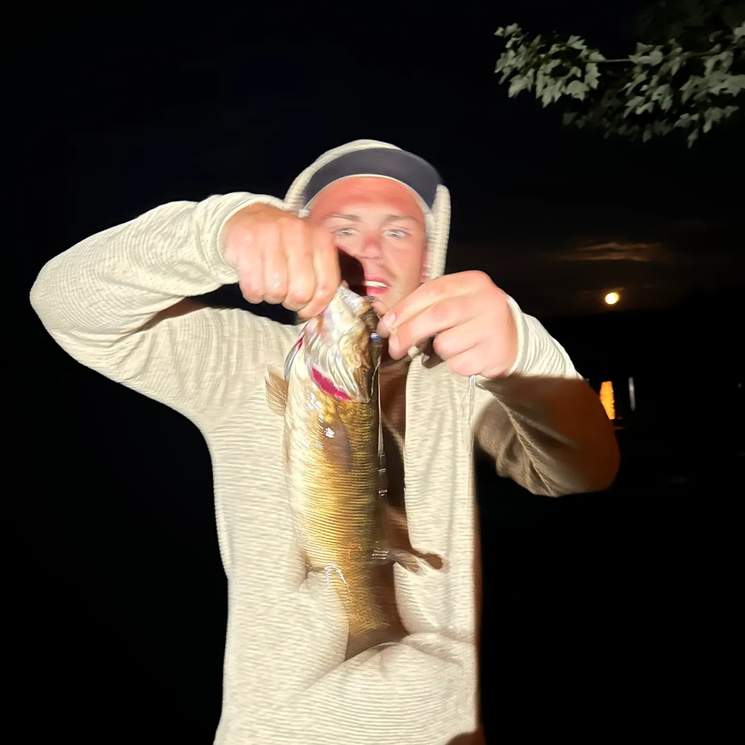 The most recent Smallmouth bass catches on Fishbrain