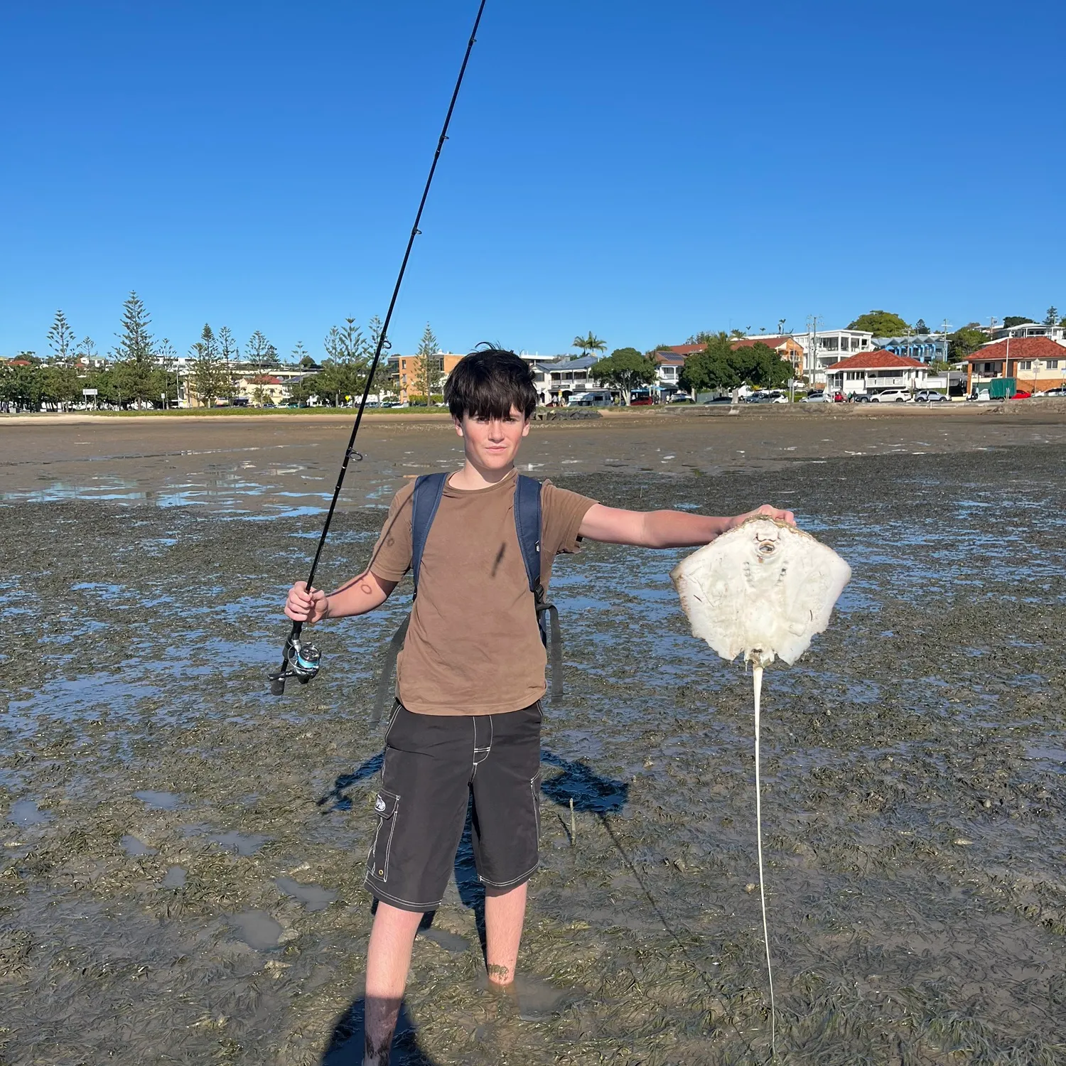 The most recent Common stingray catches on Fishbrain