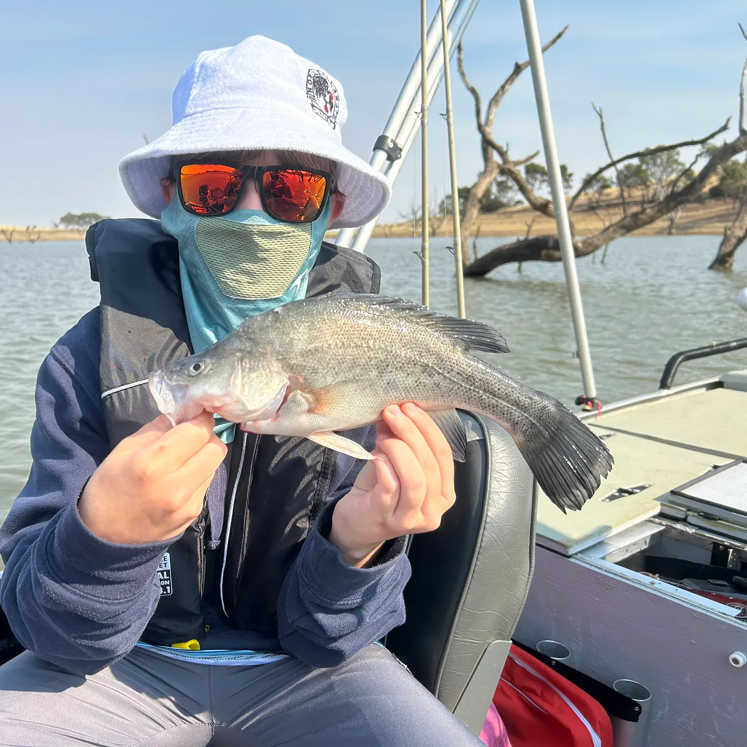 The most recent Golden perch catches on Fishbrain