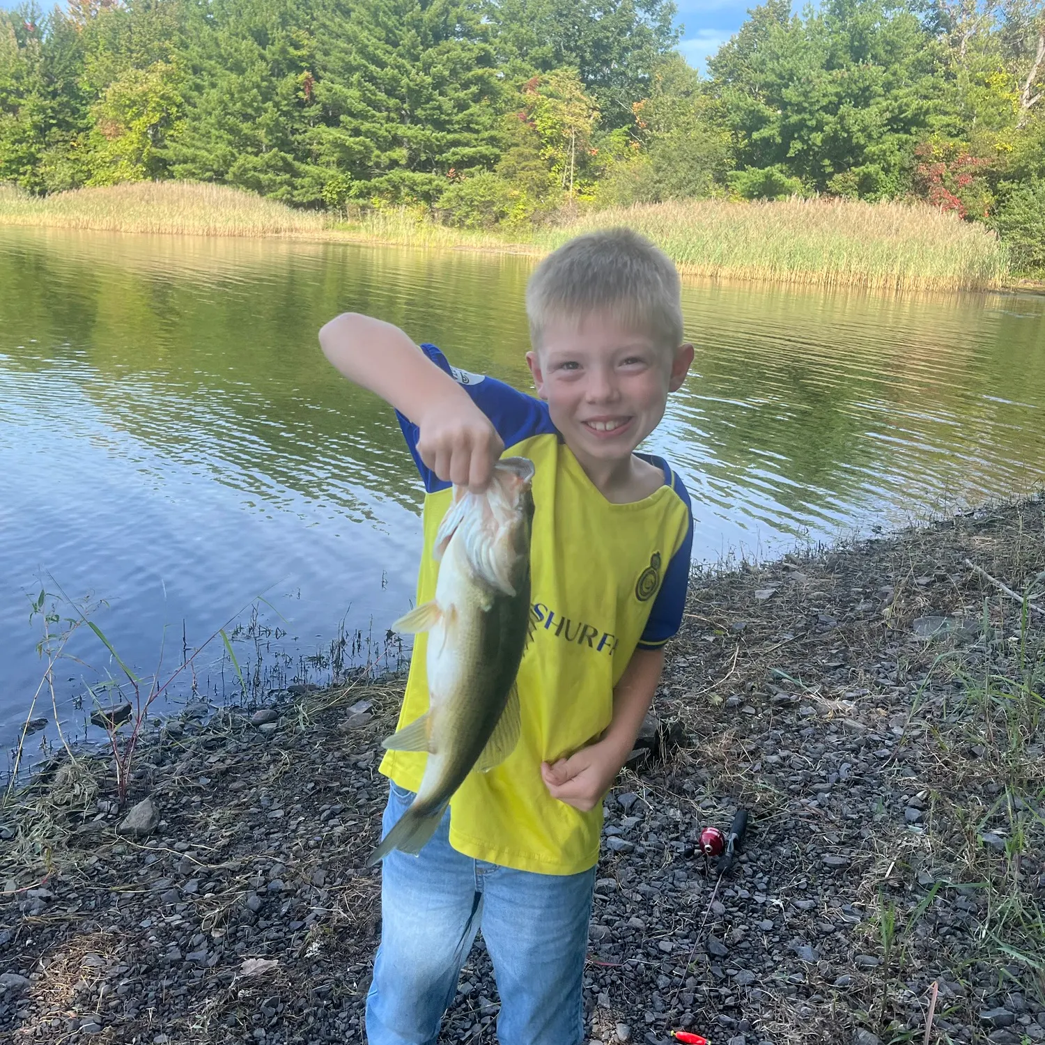 Largemouth bass caught on Fishbrain