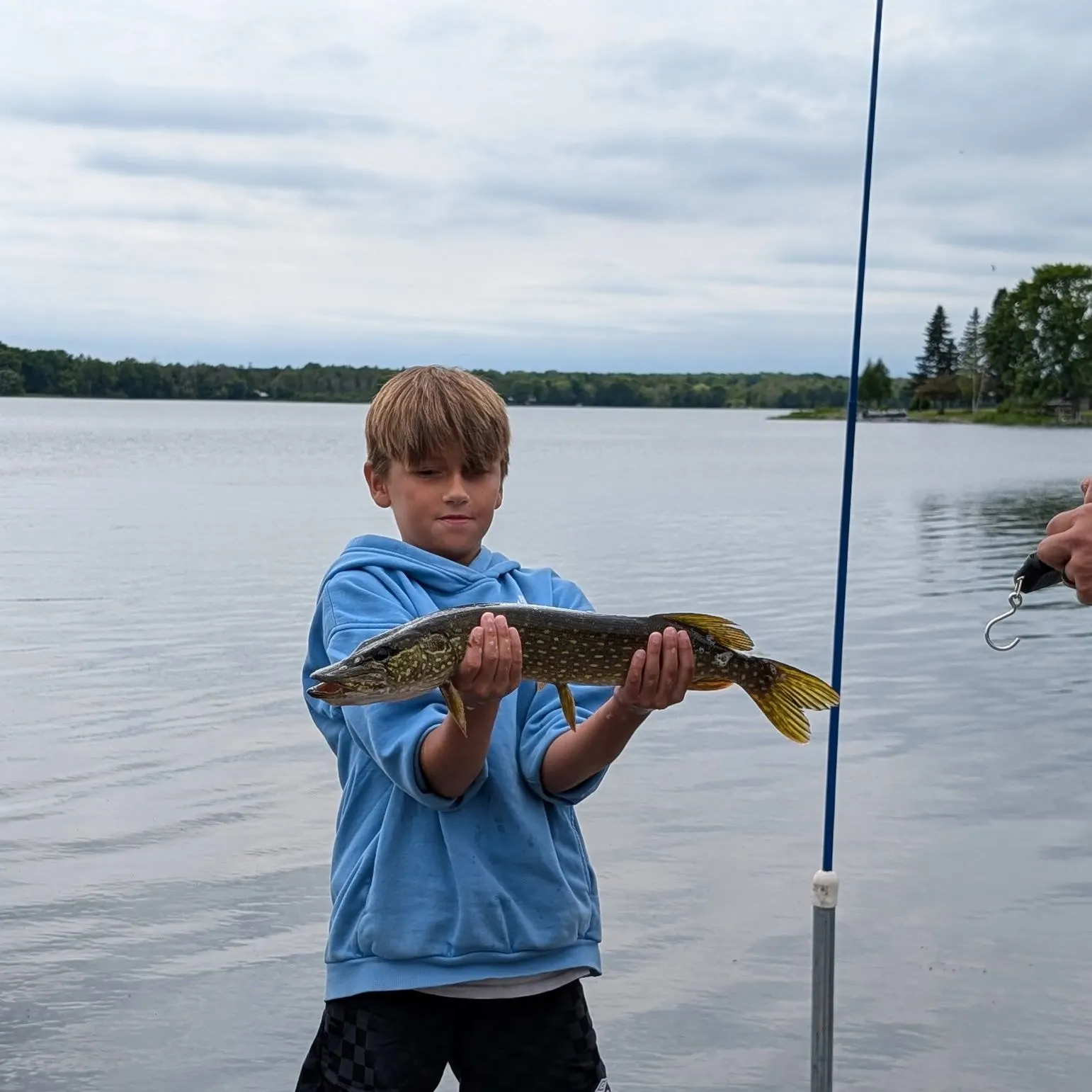 Northern pike caught on Fishbrain