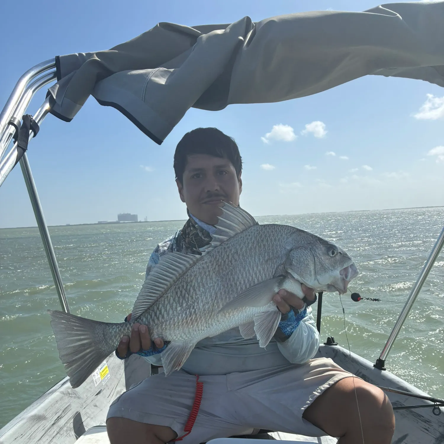 Black drum caught on Fishbrain