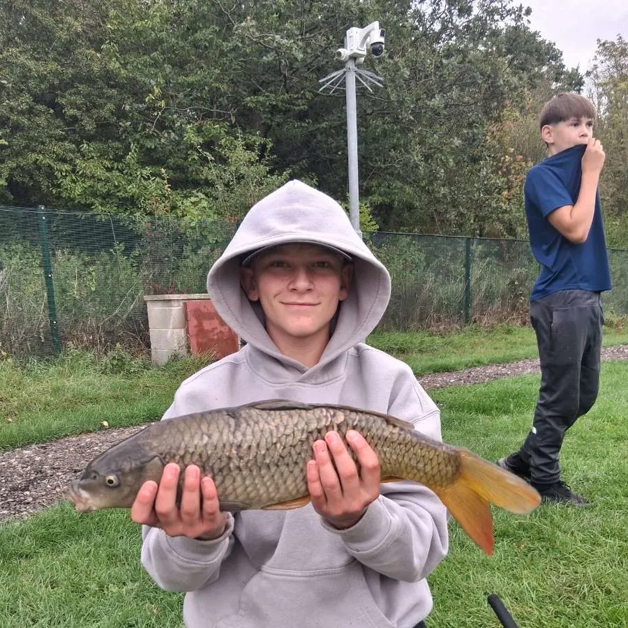 Common carp caught on Fishbrain
