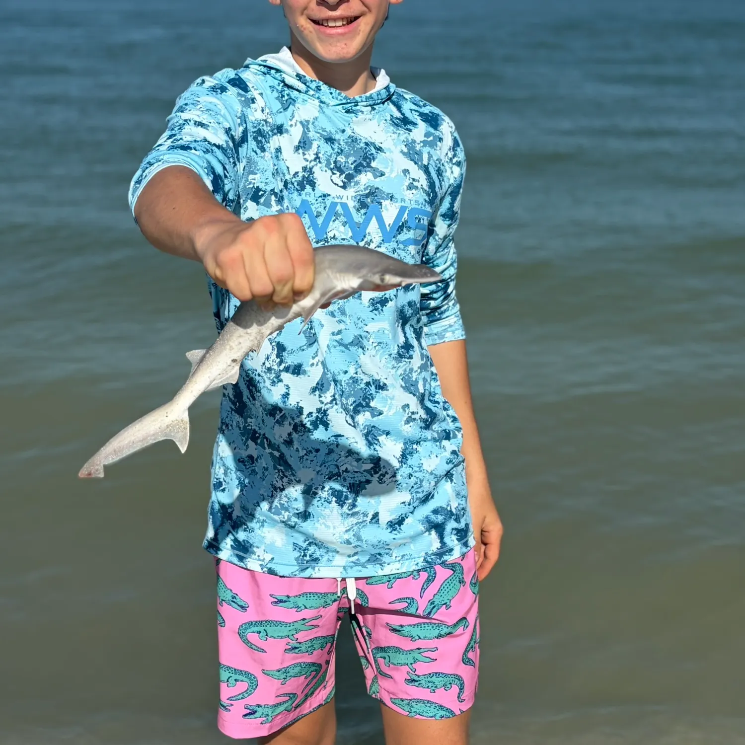 The most recent Bonnethead shark catches on Fishbrain