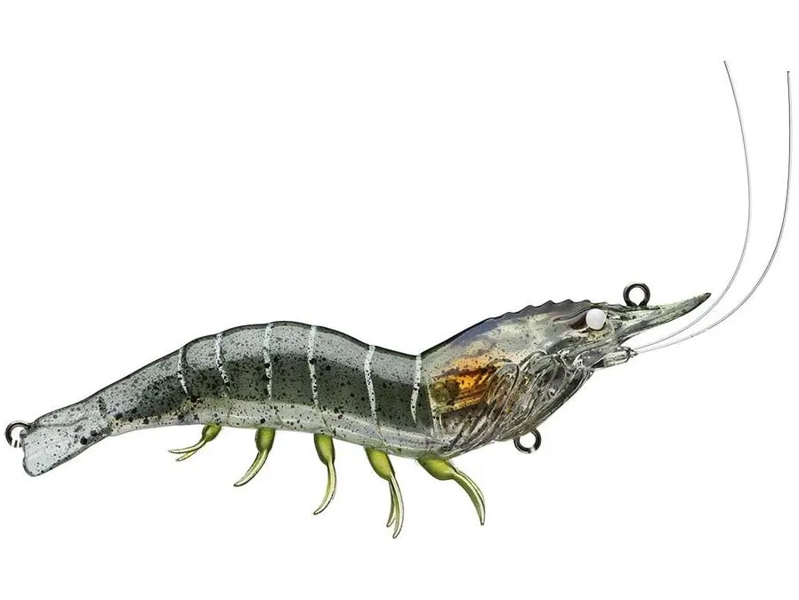 Shrimp Hybrid