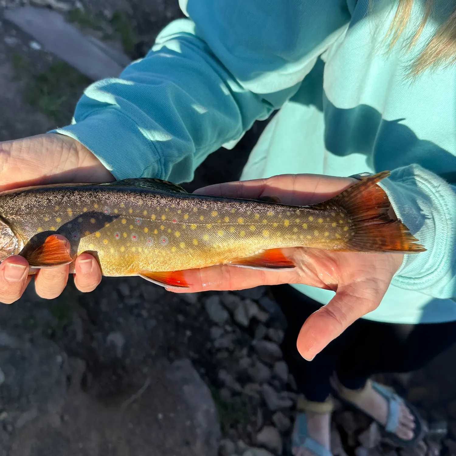 angler catch