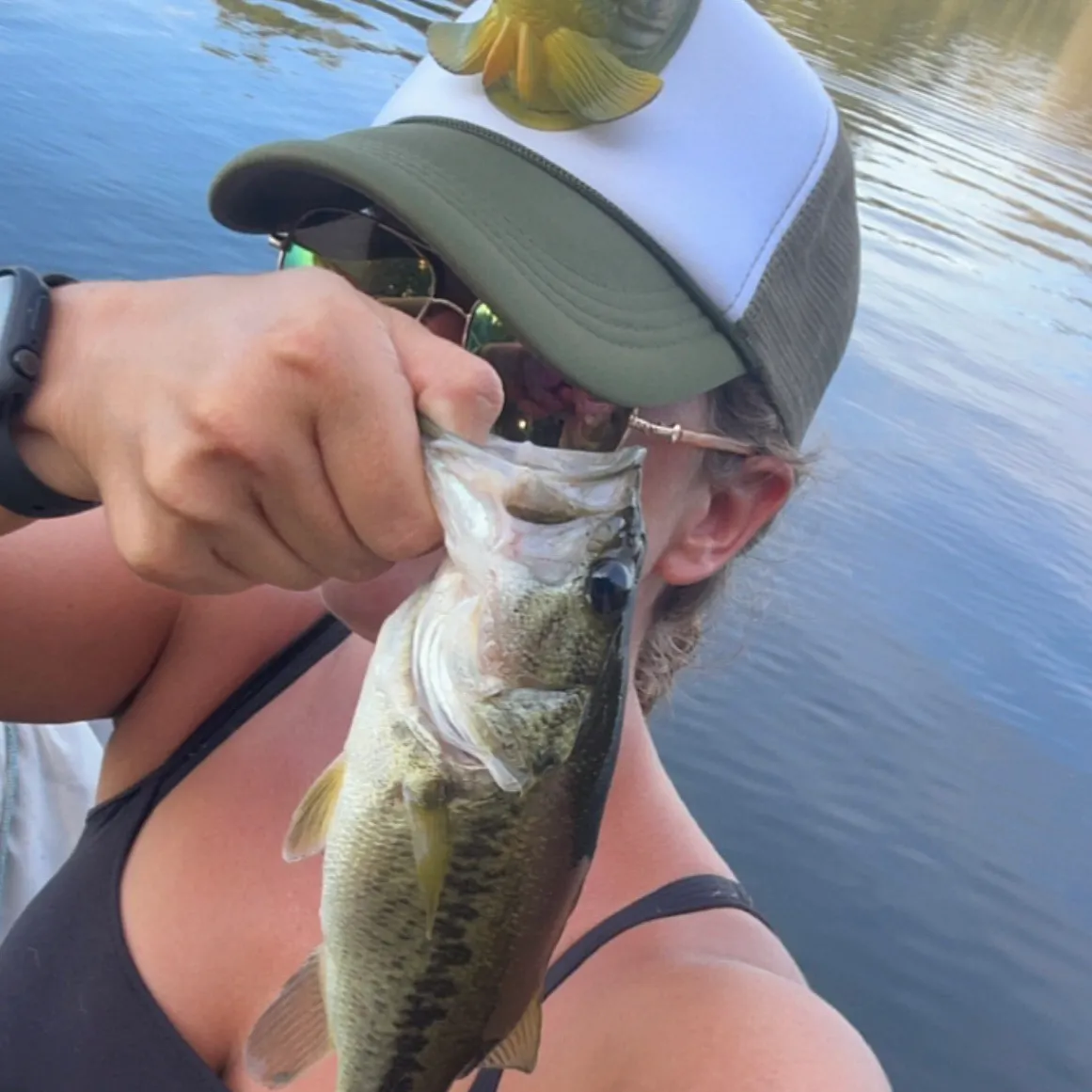 Largemouth bass caught on Fishbrain