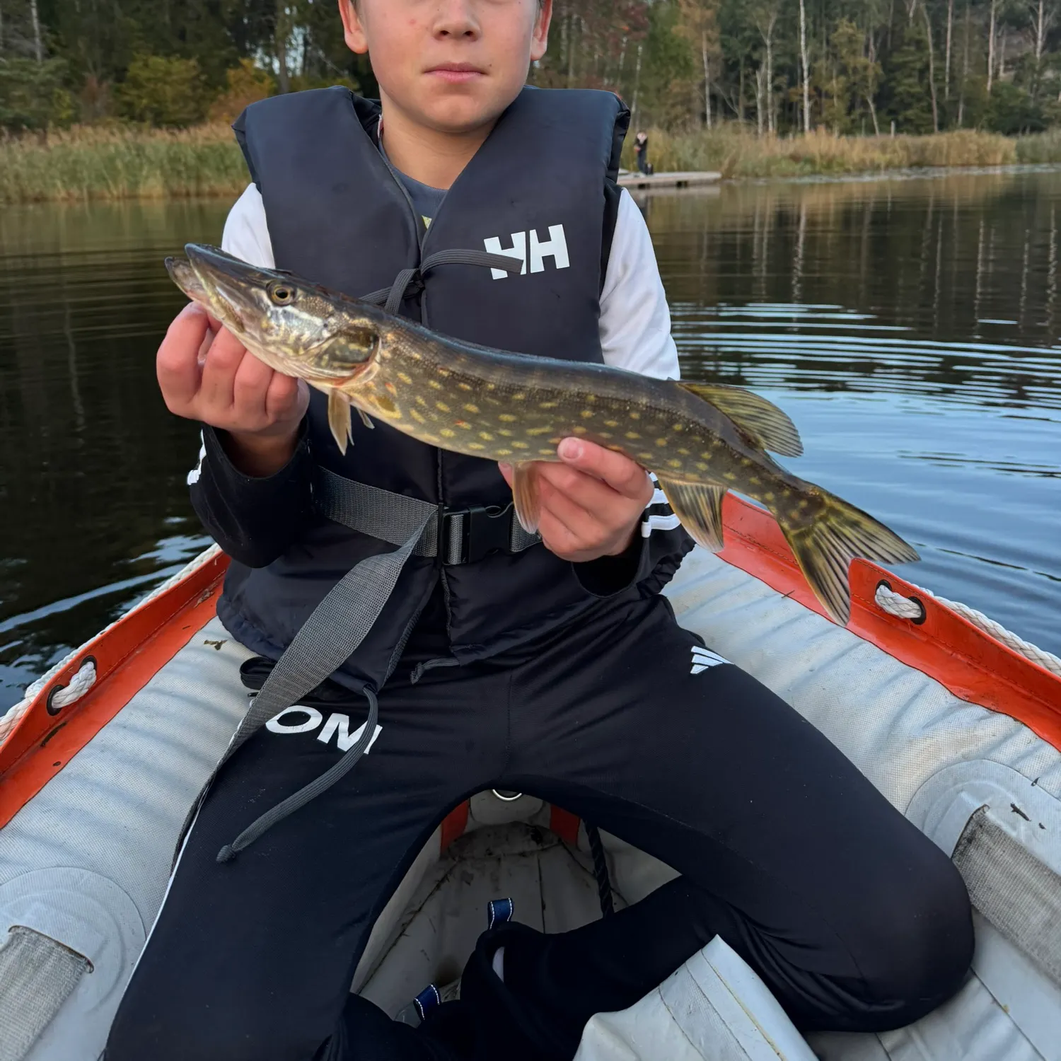 Northern pike caught on Fishbrain