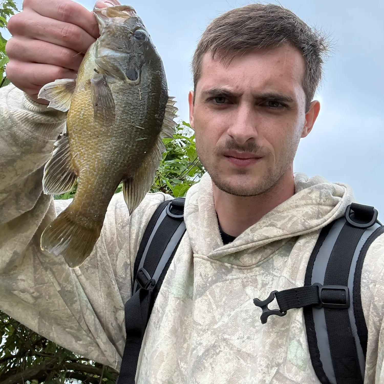 Green sunfish caught on Fishbrain