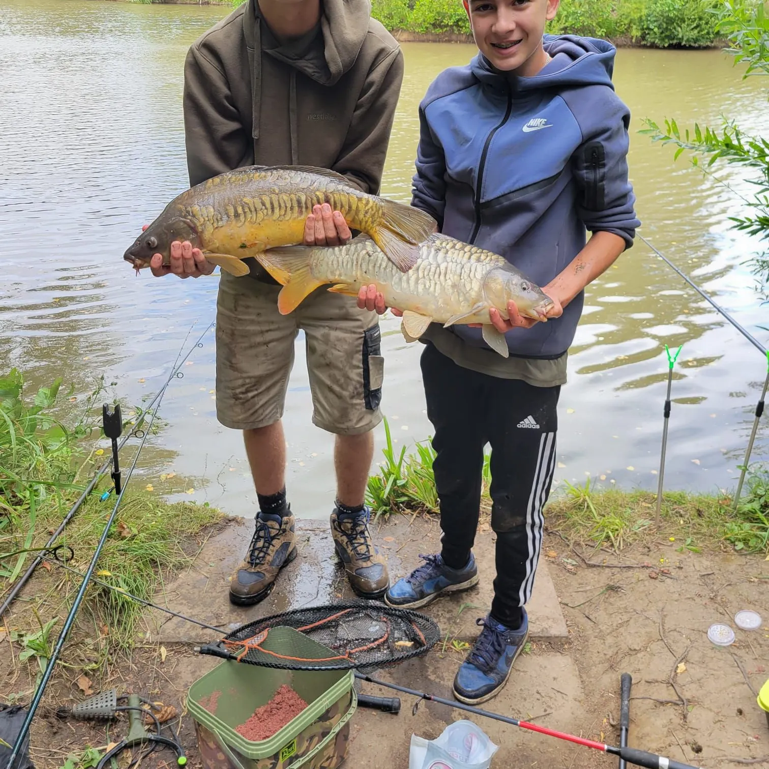 Mirror carp caught on Fishbrain