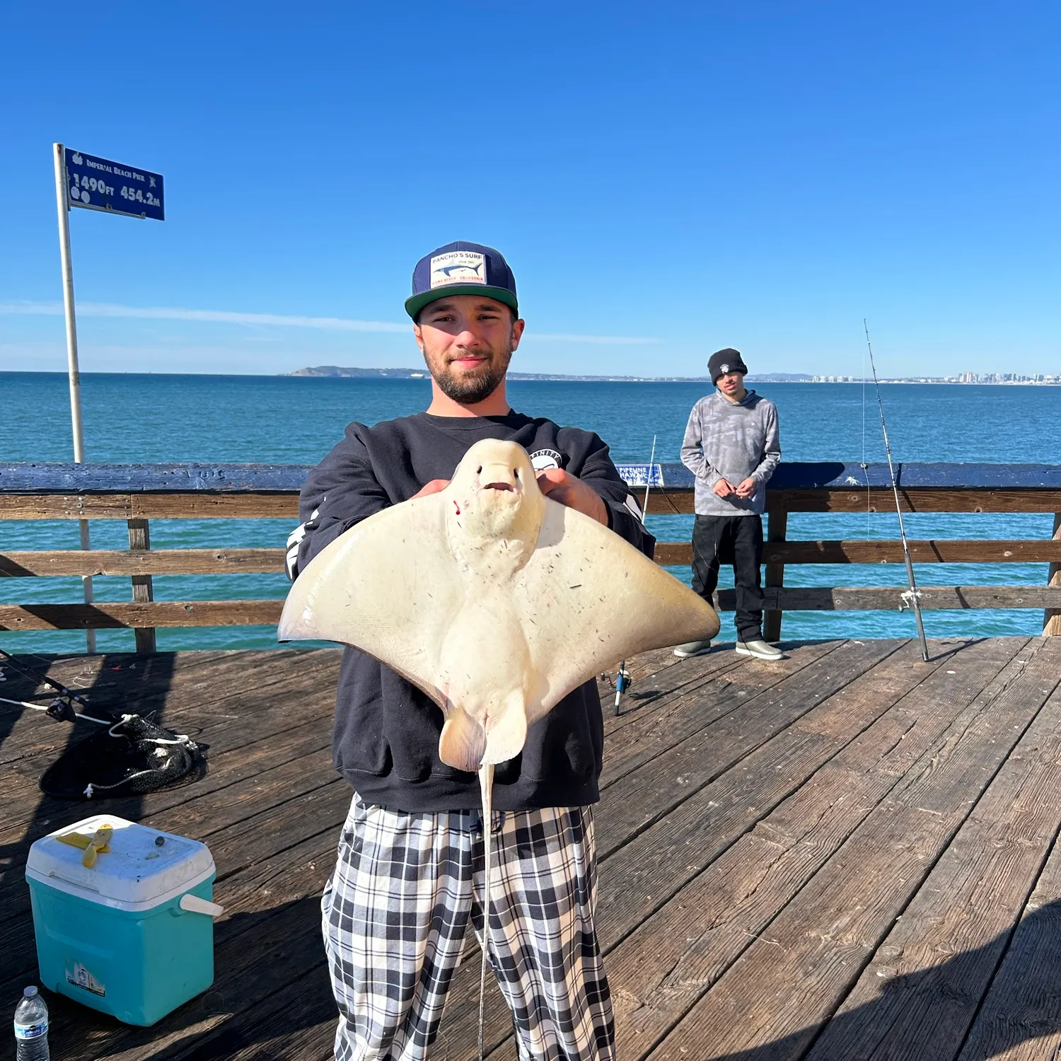 The most recent Bat eagle ray catches on Fishbrain