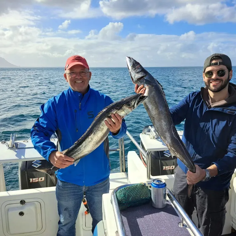 The most recent Snoek catches on Fishbrain