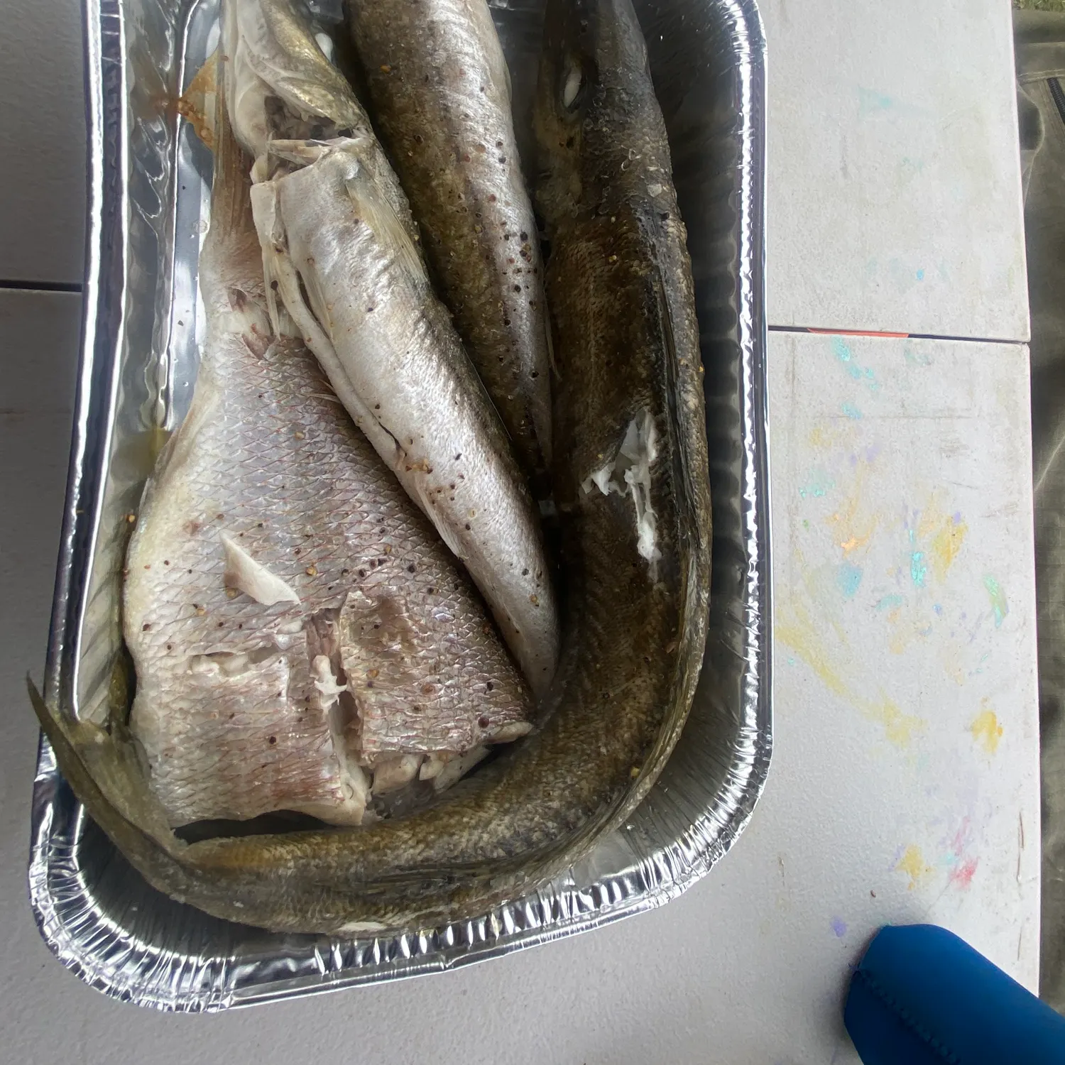 The most recent King George whiting catches on Fishbrain