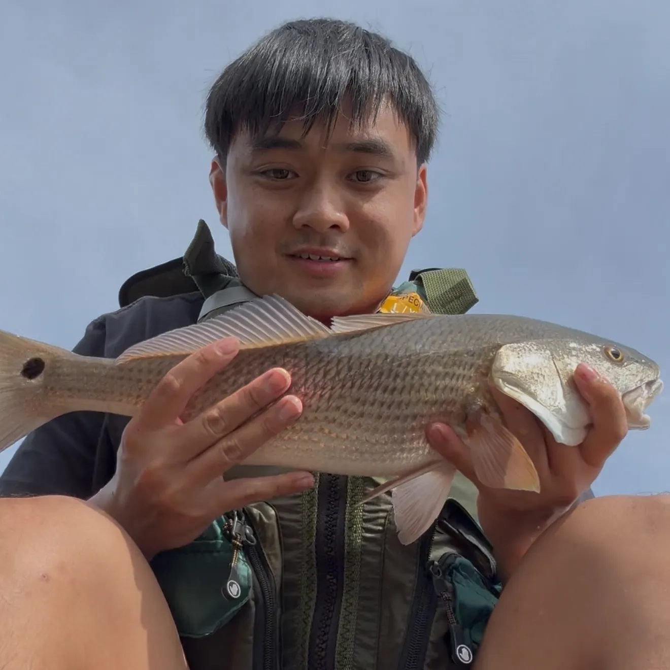 The most recent Red drum catches on Fishbrain