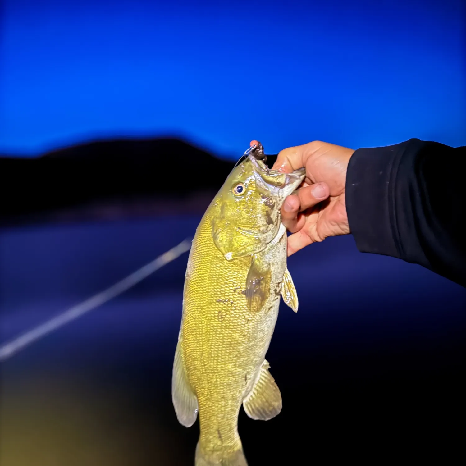 Smallmouth bass caught on Fishbrain