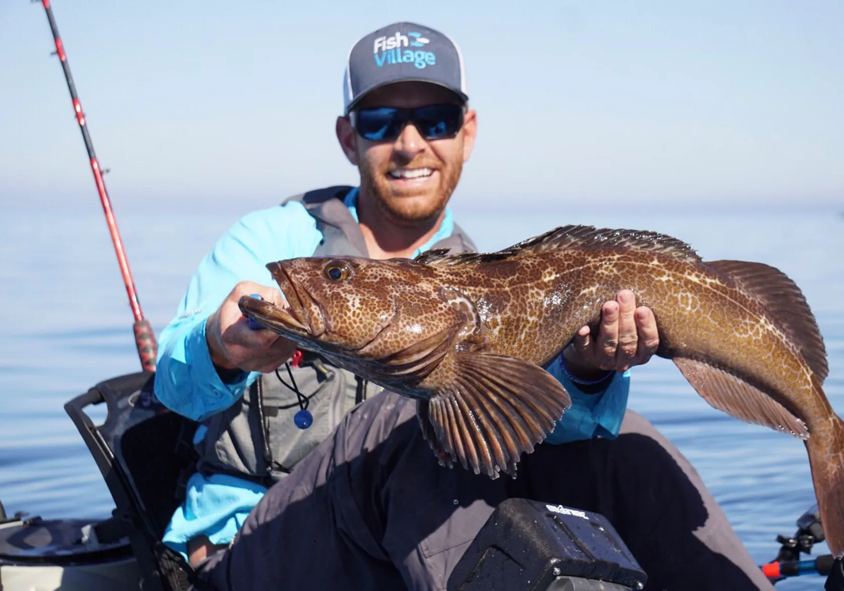 Lingcod