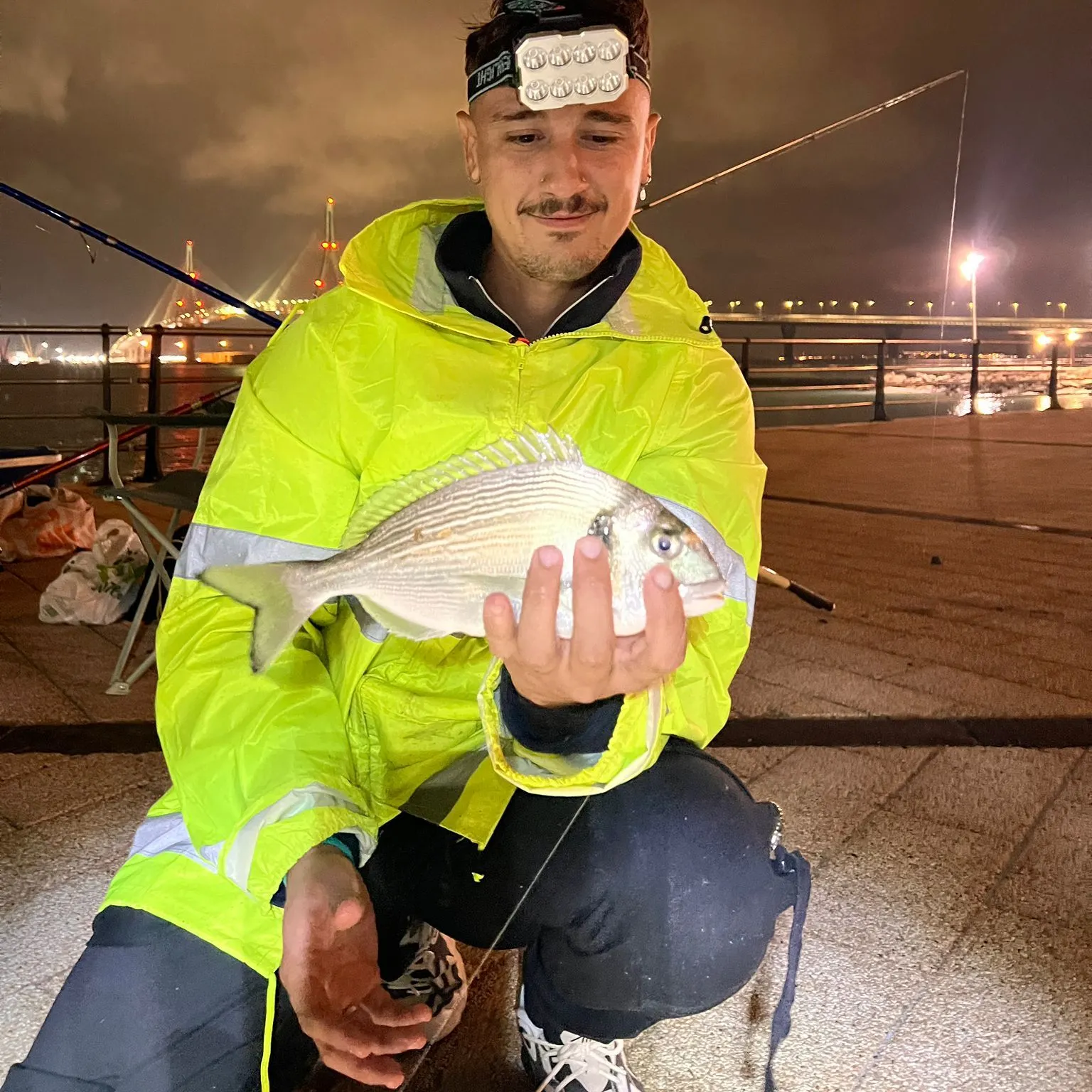 The most recent Gilthead seabream catches on Fishbrain