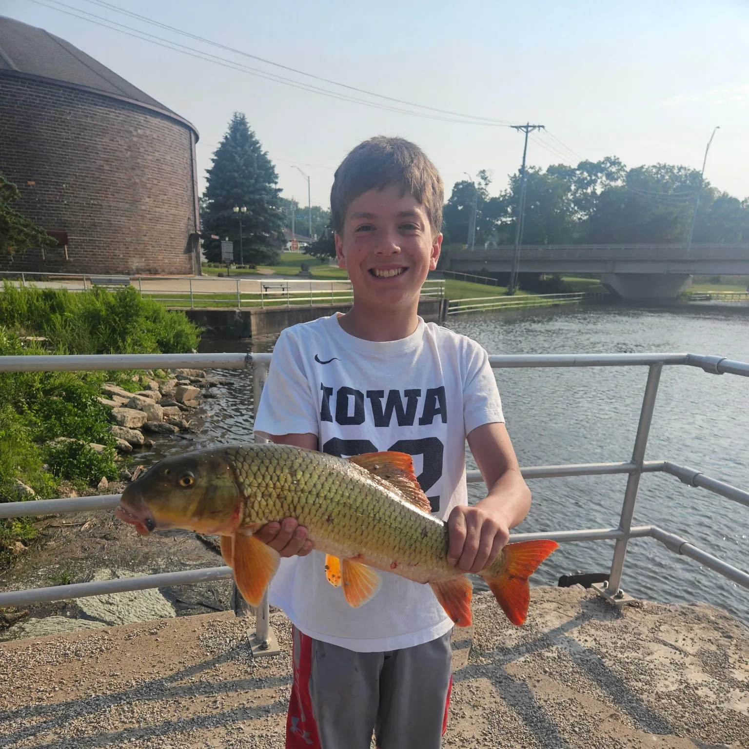 The most recent Greater redhorse catches on Fishbrain