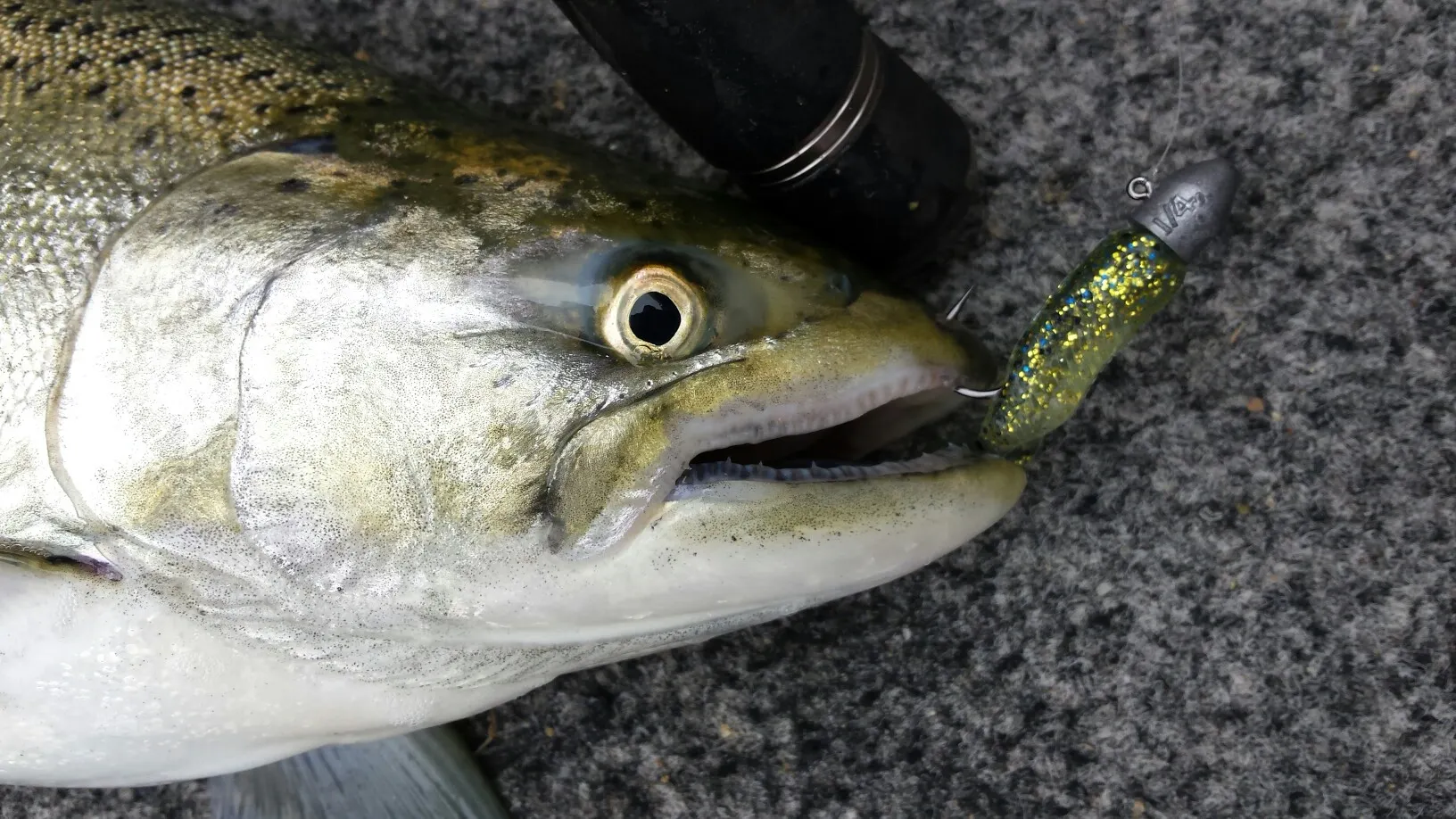 Post image from paul.hanley