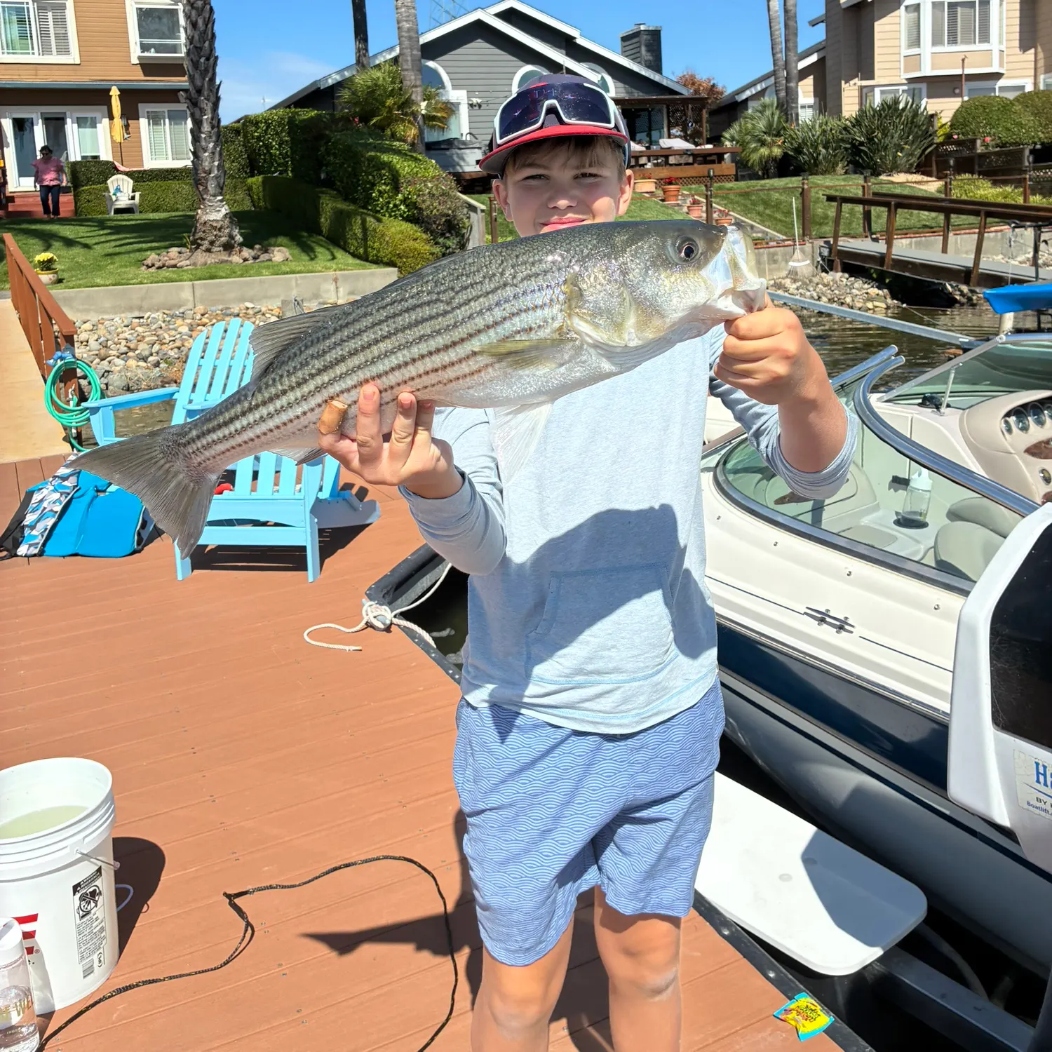 Striped bass caught on Fishbrain