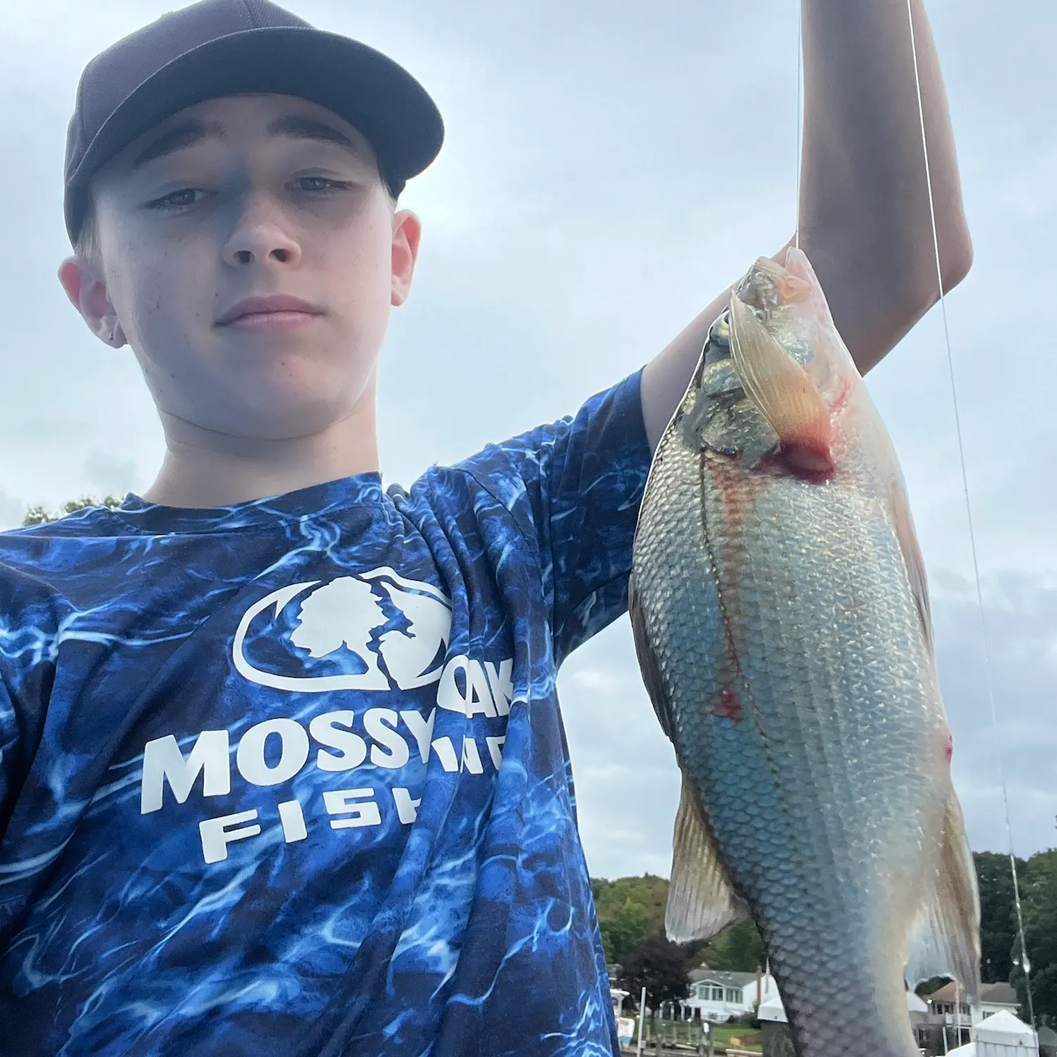 White perch caught on Fishbrain