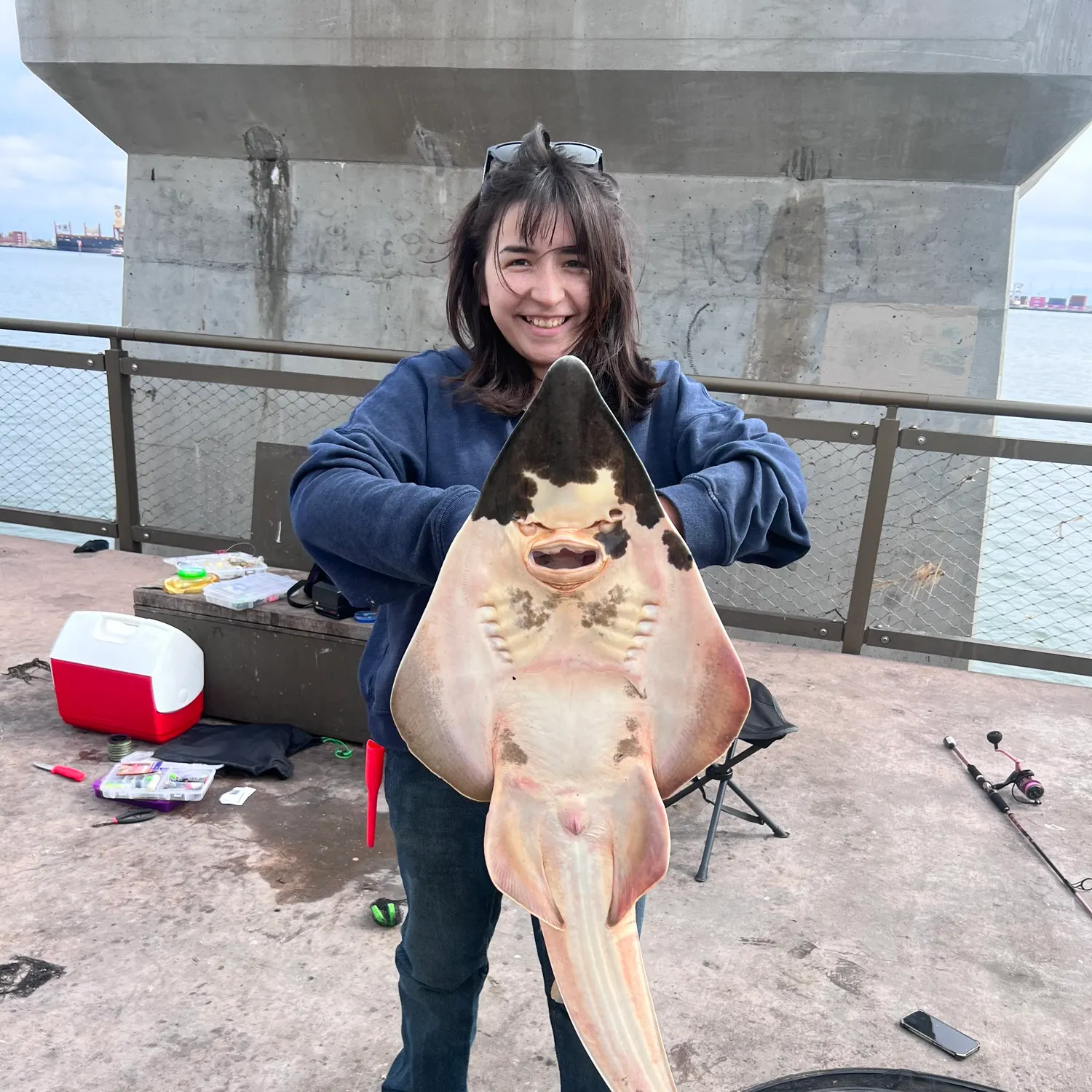 The most recent Pacific shovelnose guitarfish catches on Fishbrain