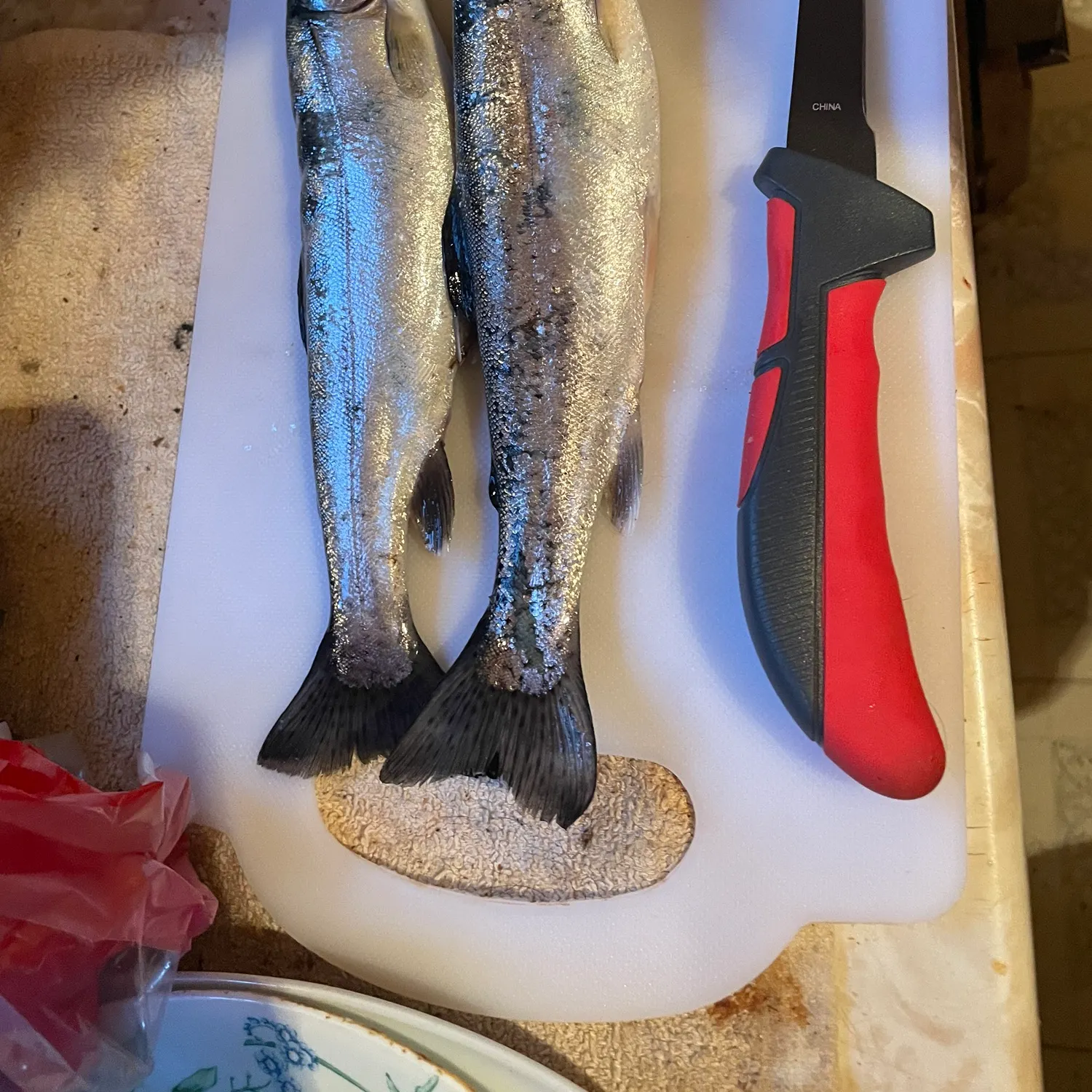 The most recent Rainbow trout catches on Fishbrain