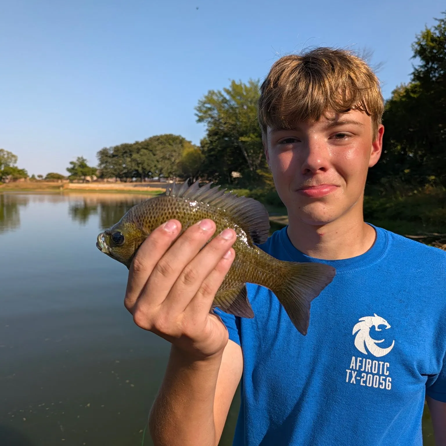 Bluegill caught on Fishbrain