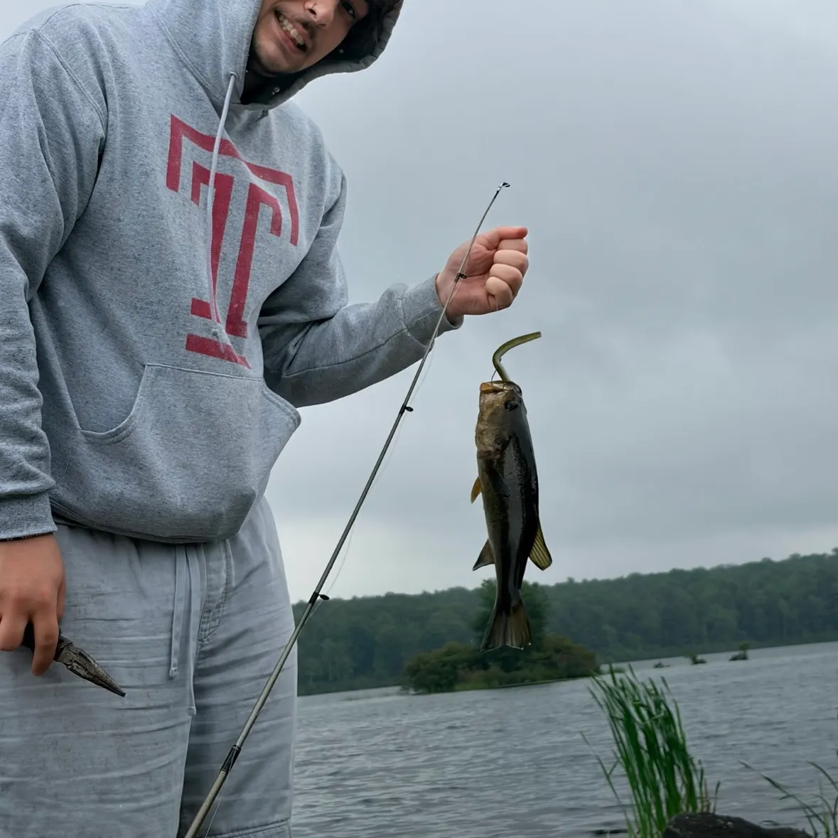 Largemouth bass caught on Fishbrain