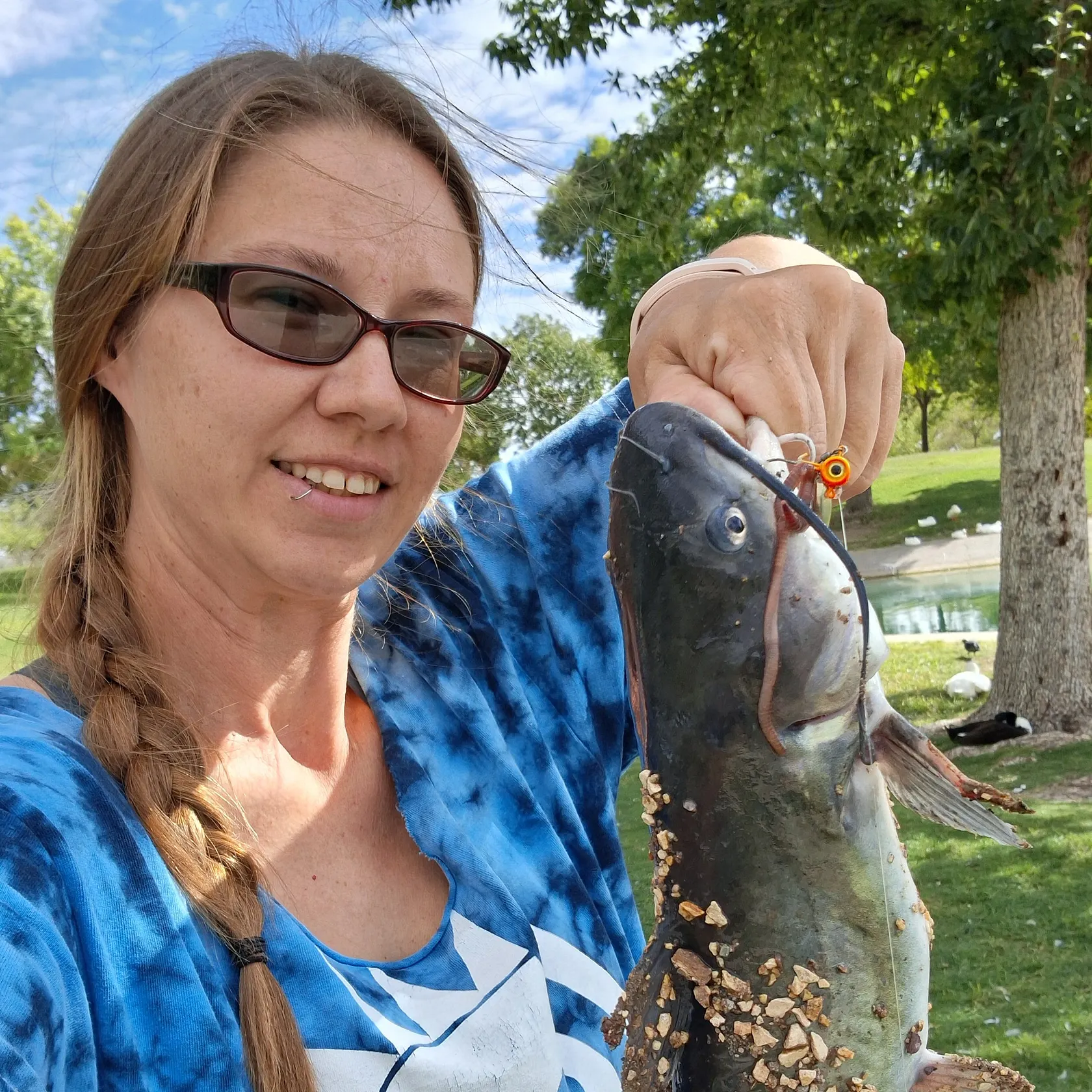 Channel catfish caught on Fishbrain