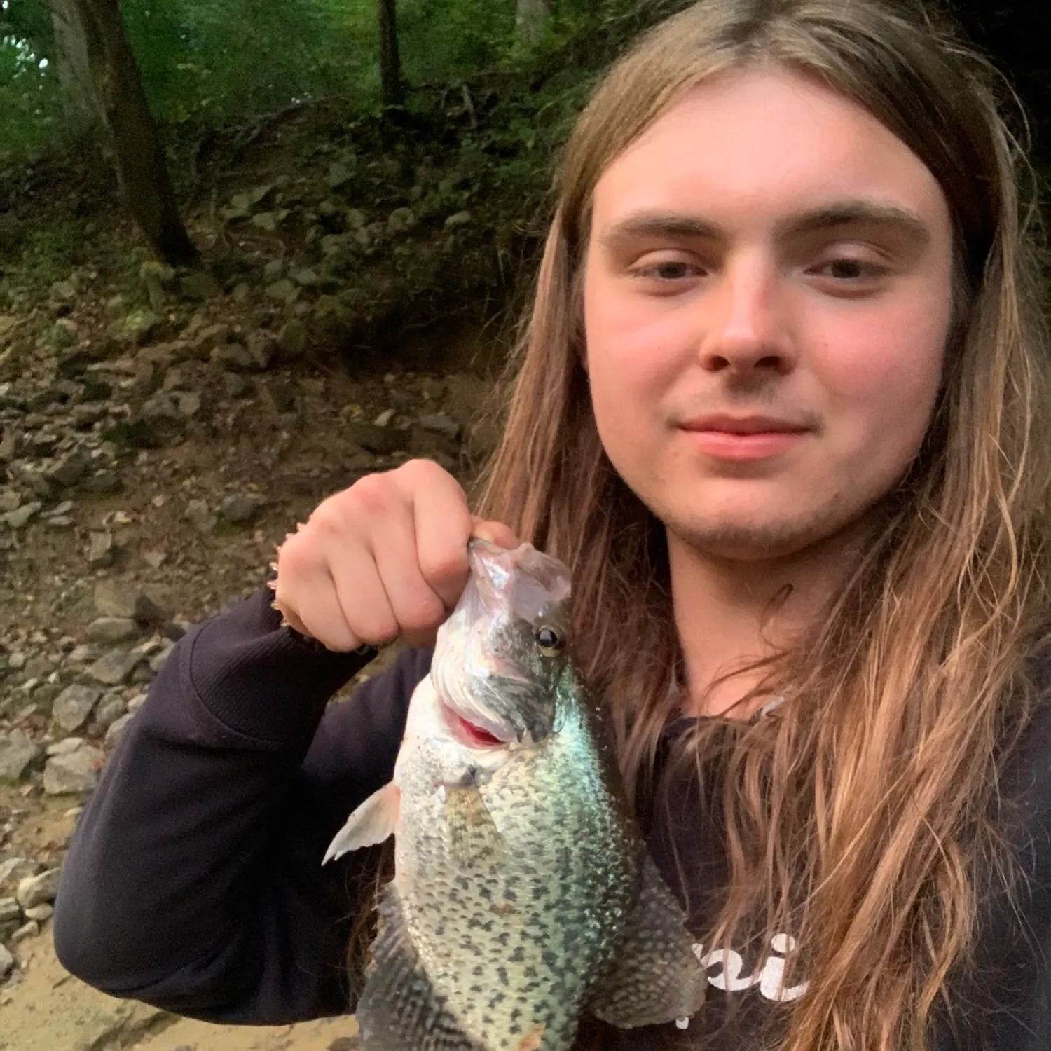 Black crappie caught on Fishbrain