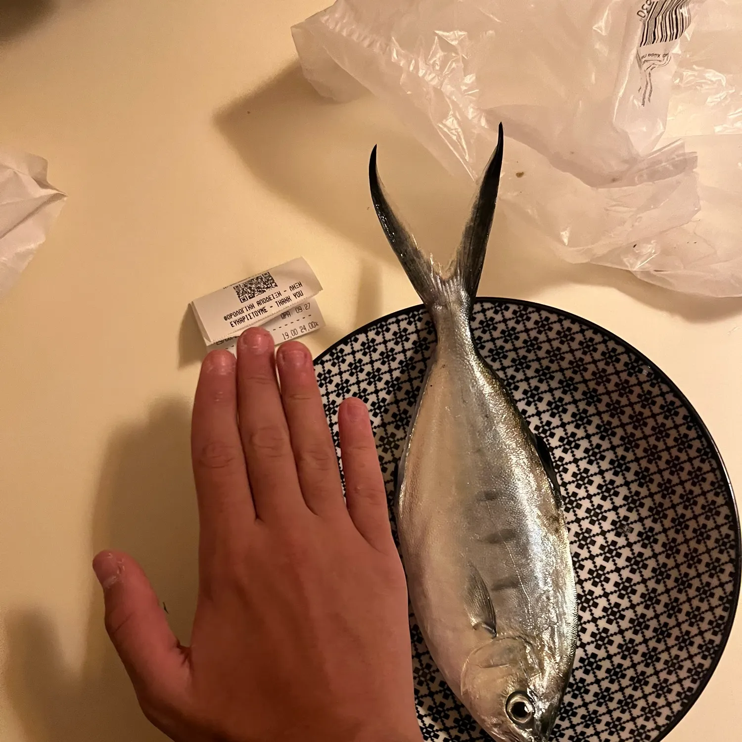 The most recent Derbio pompano catches on Fishbrain