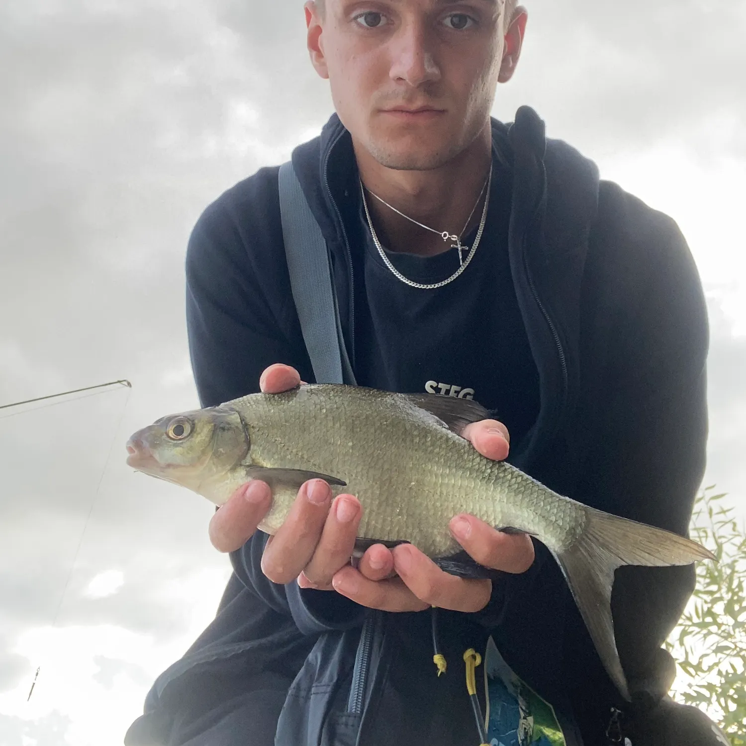 Common bream caught on Fishbrain