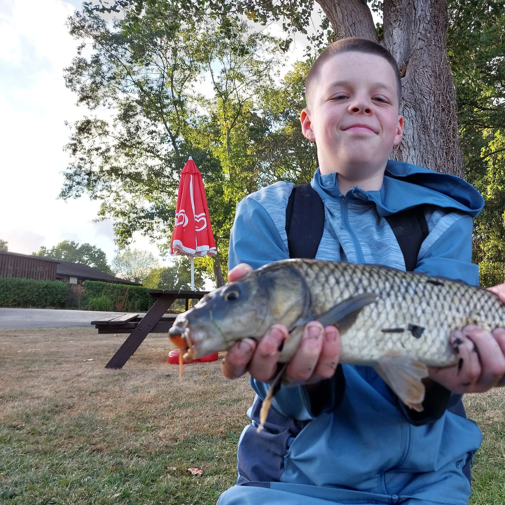 Common carp caught on Fishbrain