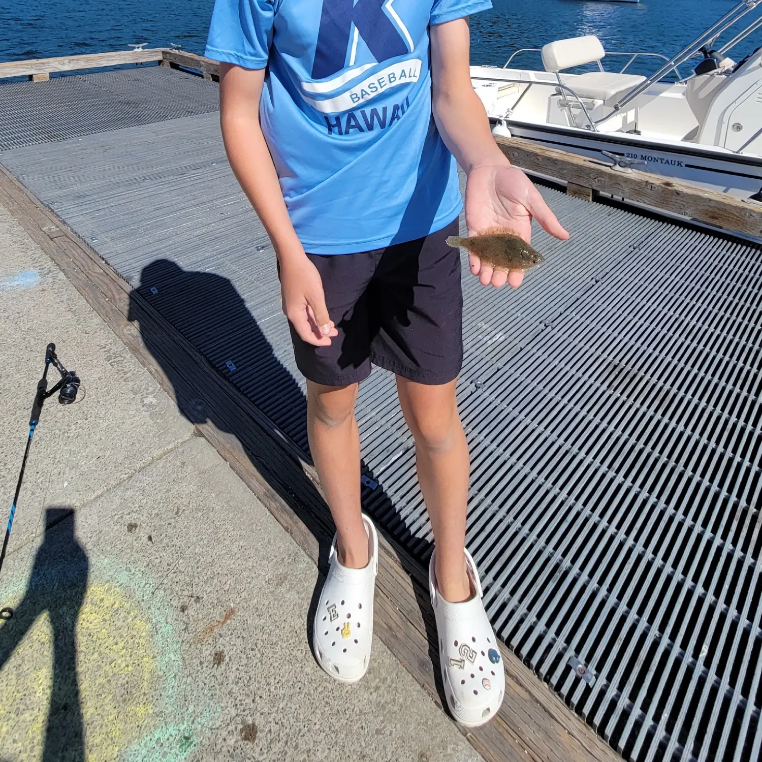 The most recent Starry flounder catches on Fishbrain