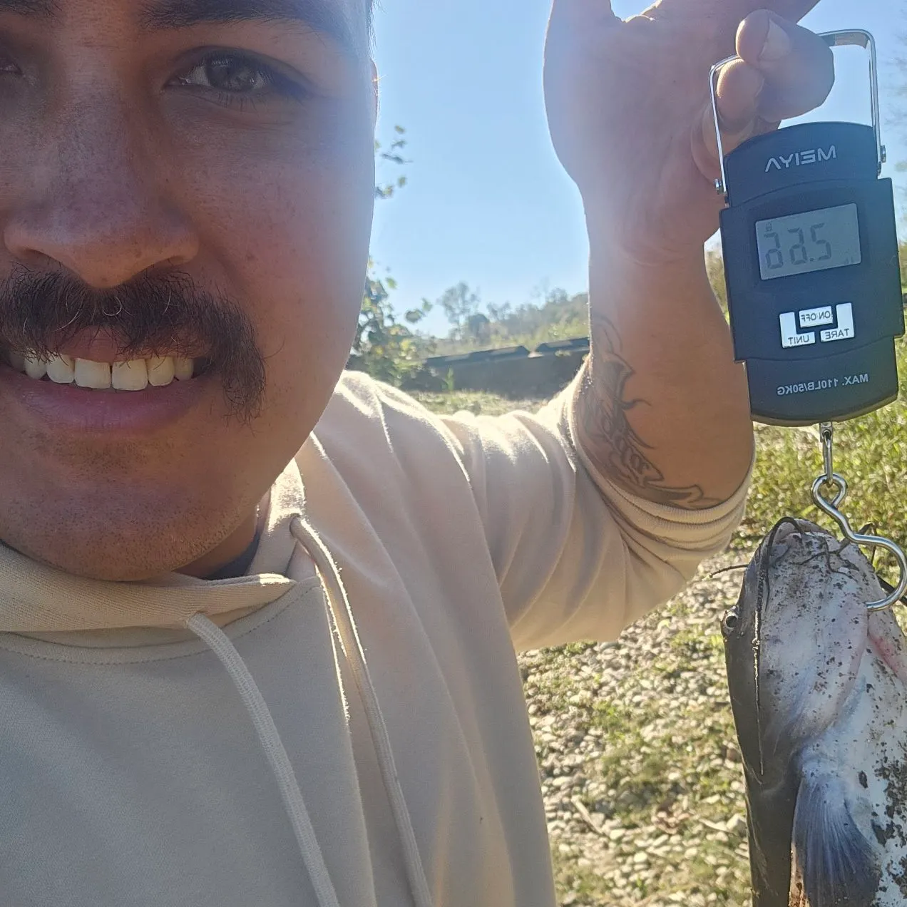 Channel catfish caught on Fishbrain
