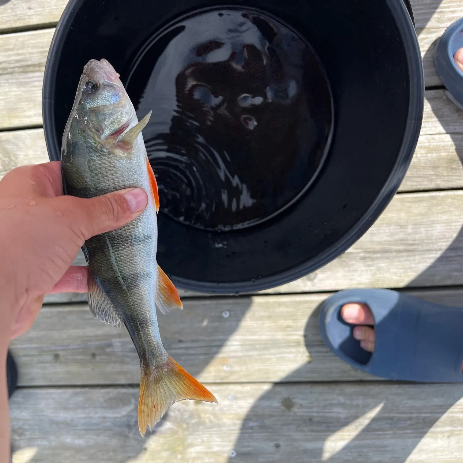 catch