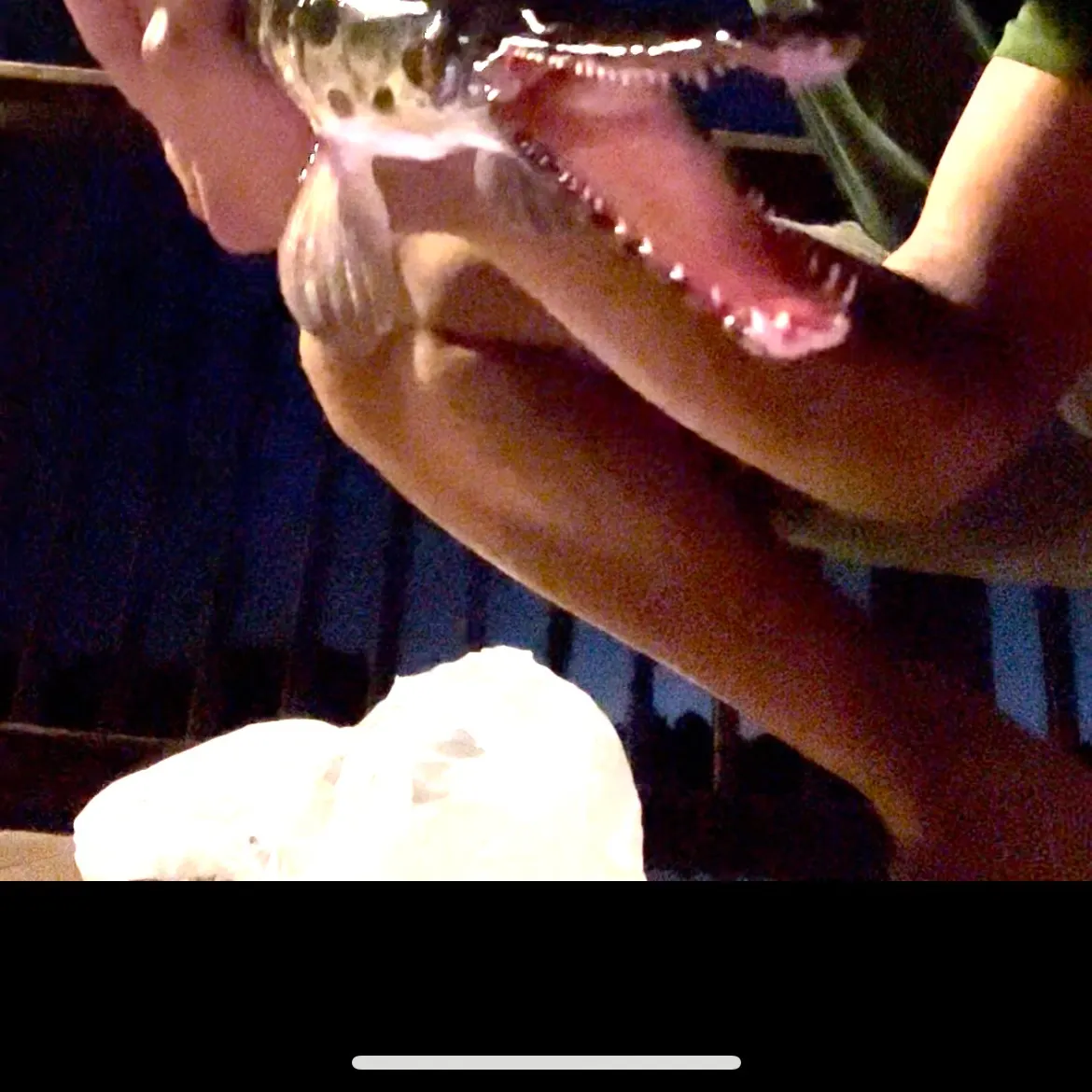 Spotted gar caught on Fishbrain