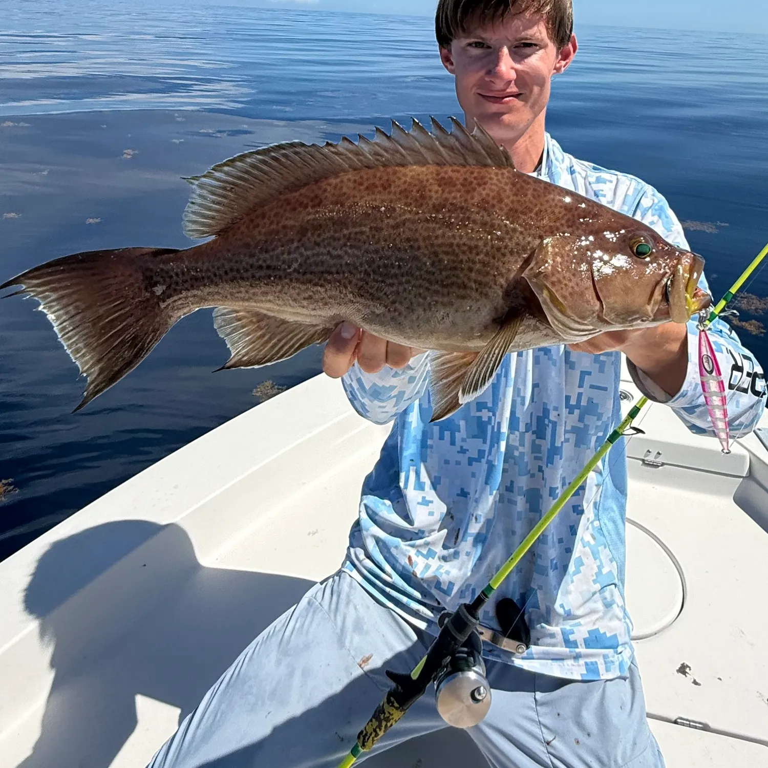The most recent Scamp grouper catches on Fishbrain