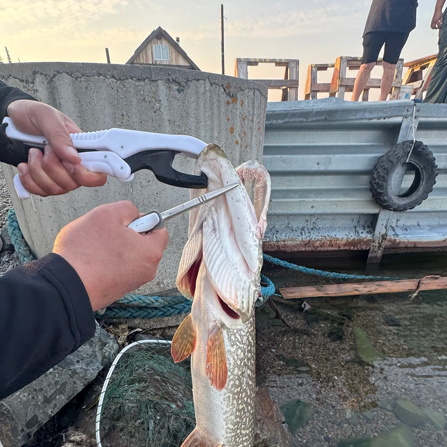 catch