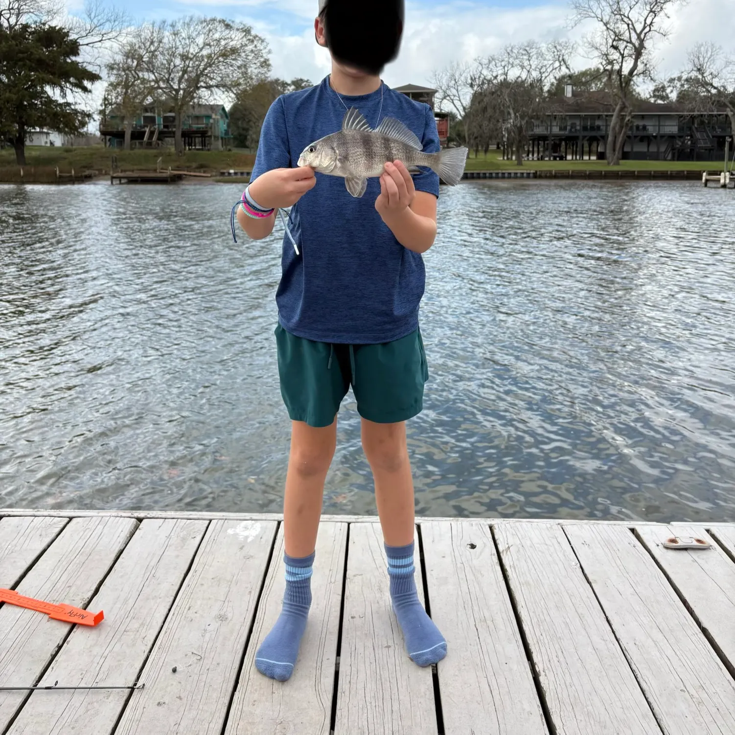 The most recent Black drum catches on Fishbrain