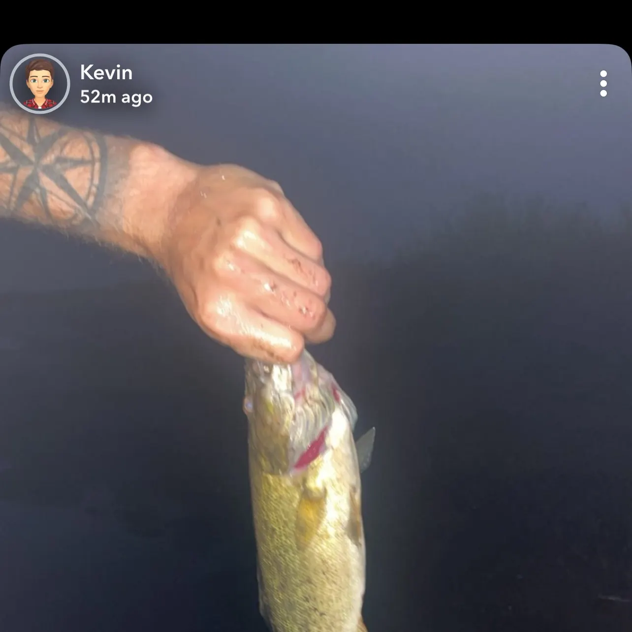 Smallmouth bass caught on Fishbrain