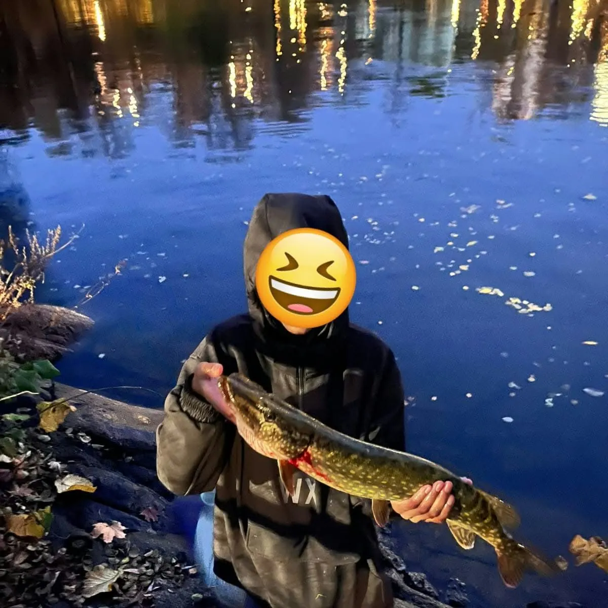 Northern pike caught on Fishbrain