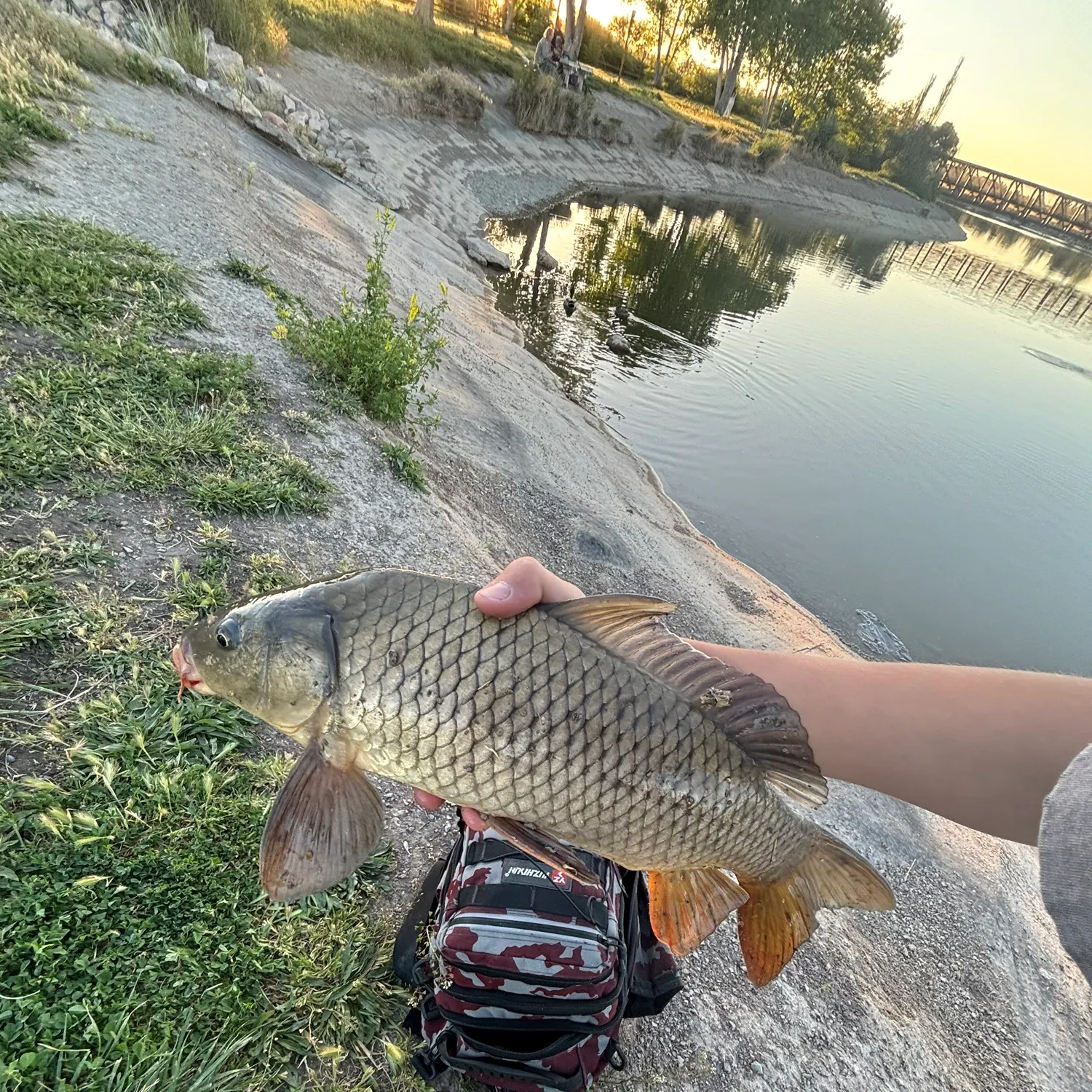 catch
