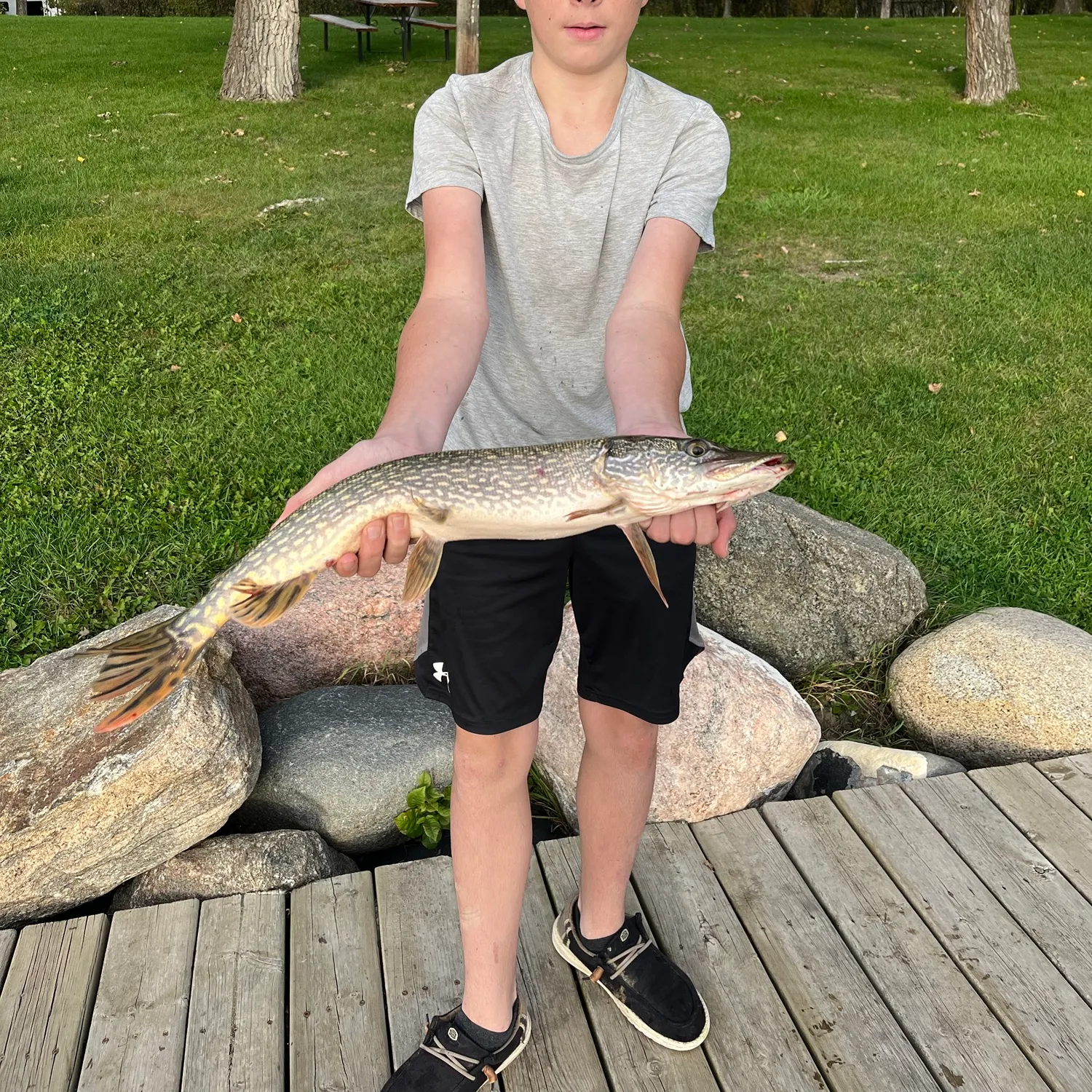 Northern pike caught on Fishbrain