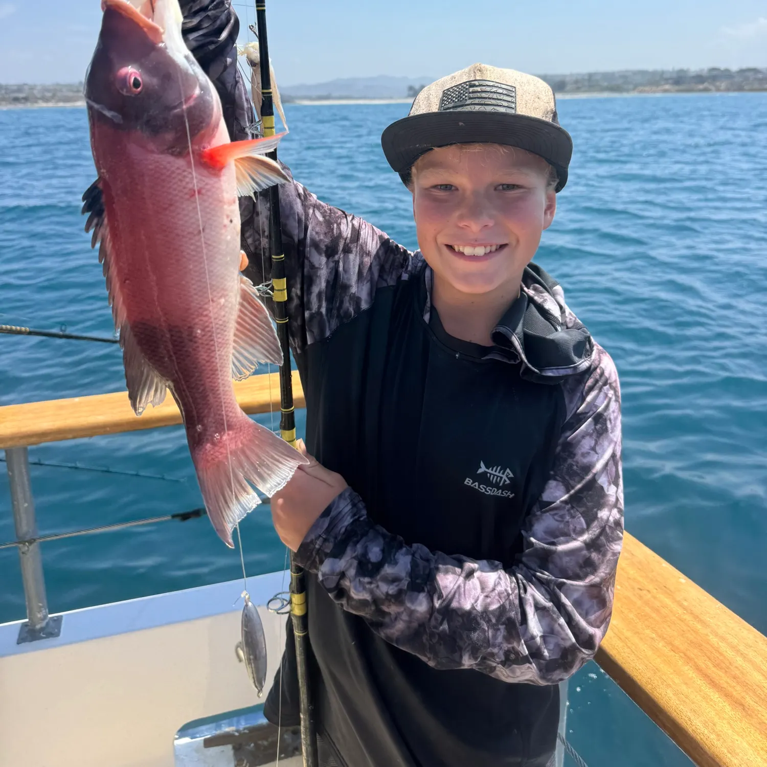 The most recent California sheephead catches on Fishbrain
