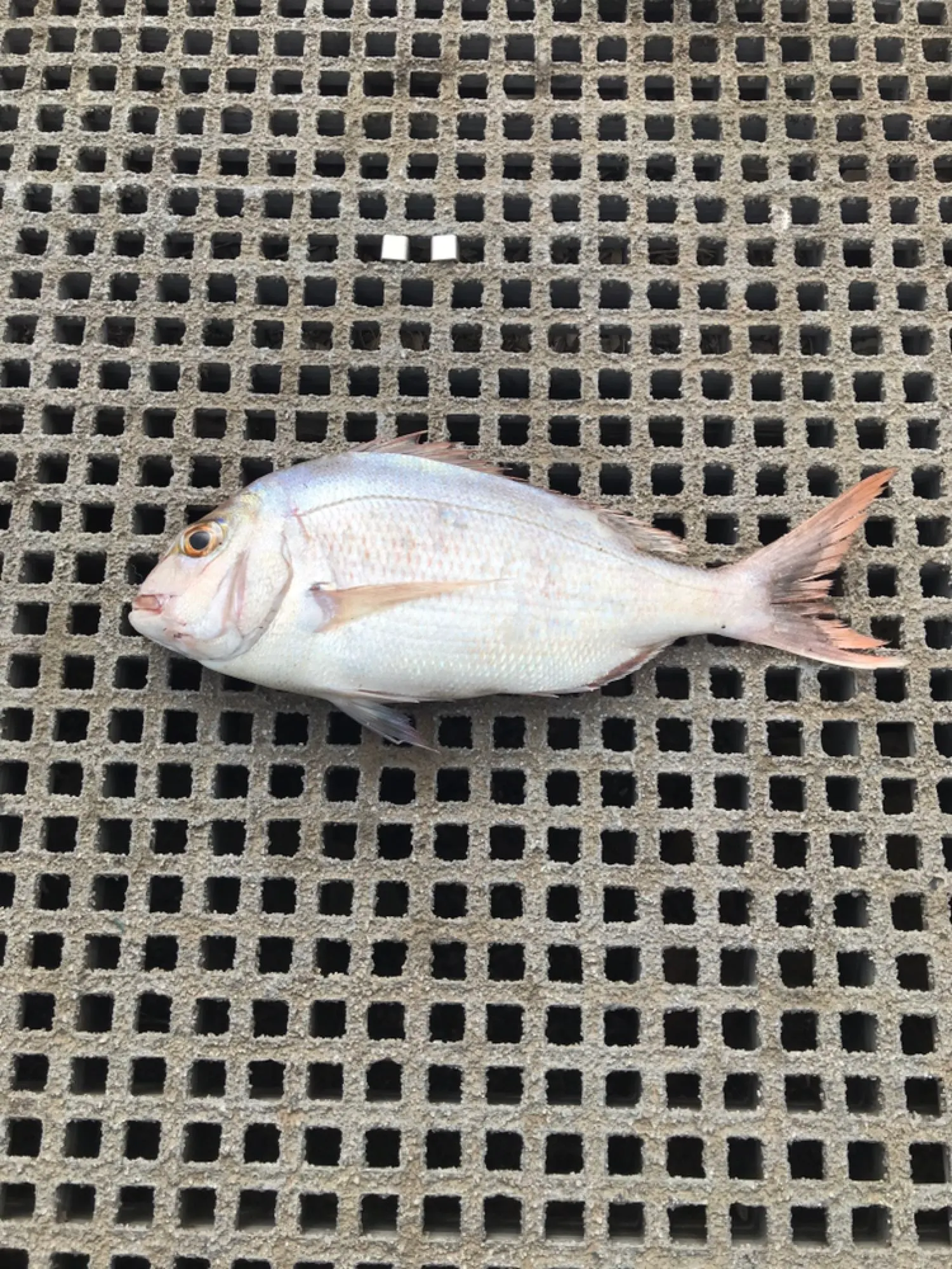 Post image from daniel.palmieri