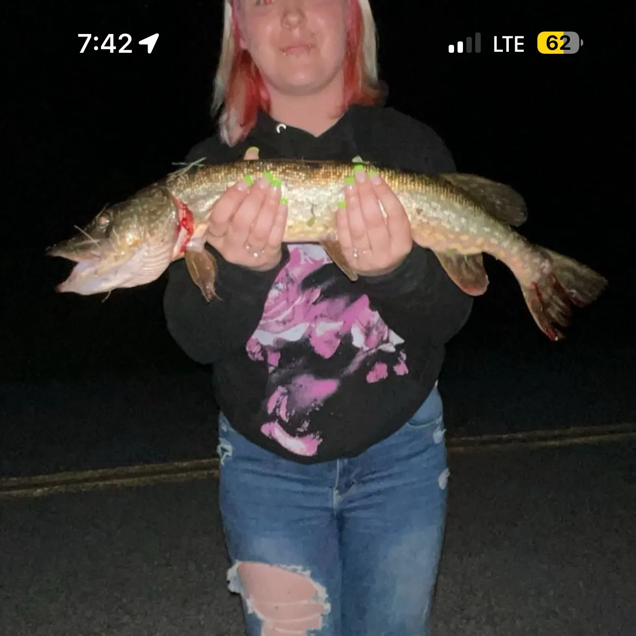 recently logged catches